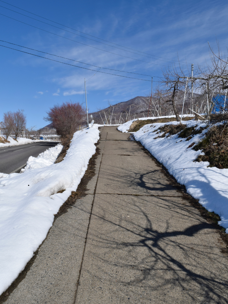 Strata Snow Removal: What Every Metro Vancouver Council Needs to Know