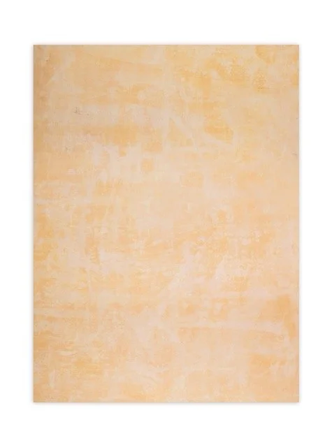 TBN-83721-38X48-Soft Peach Wash Painted.jpeg