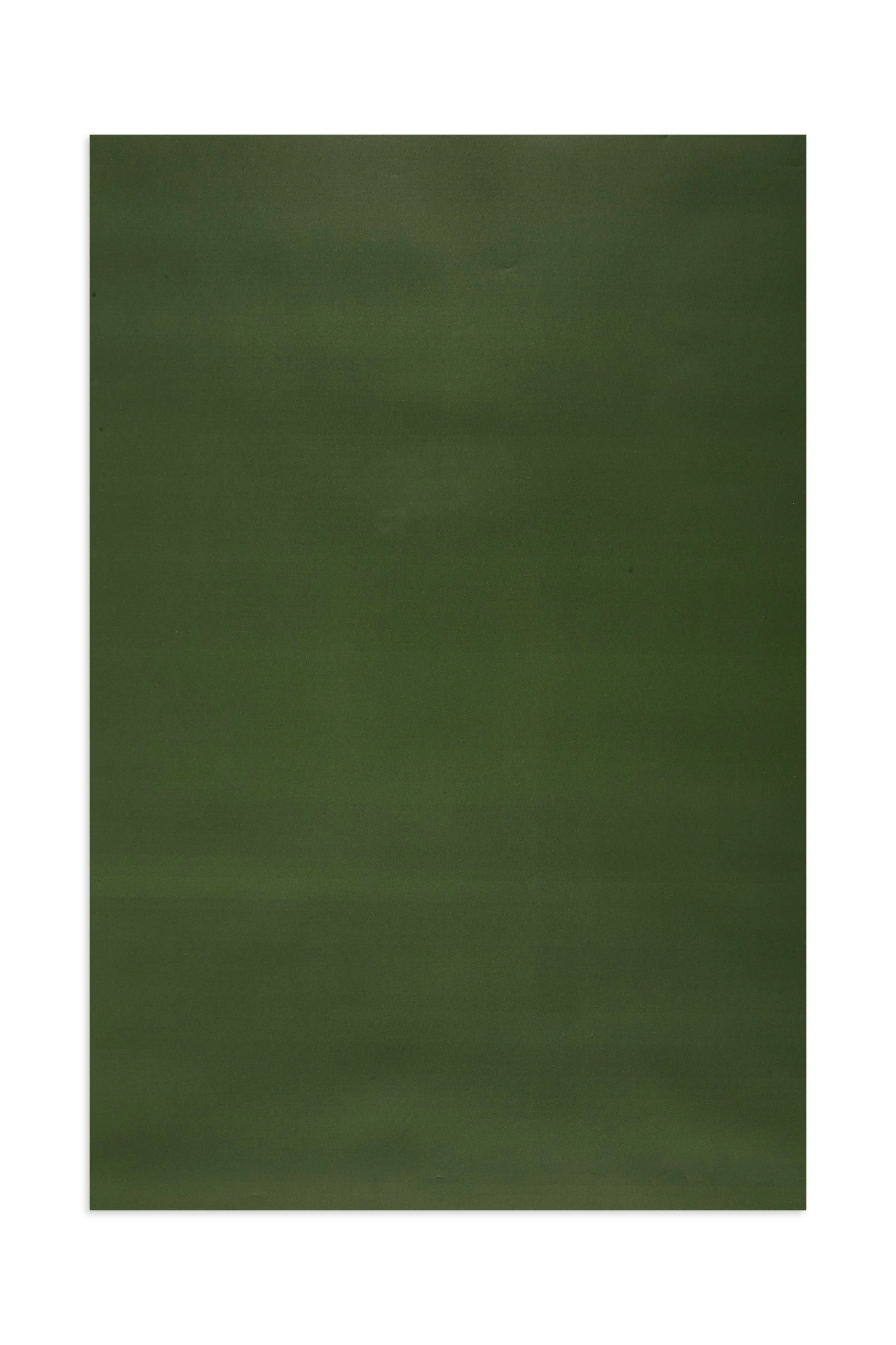 V-Hunter_Green_Three_Bird_Prop_Surfaces1415 1.jpeg