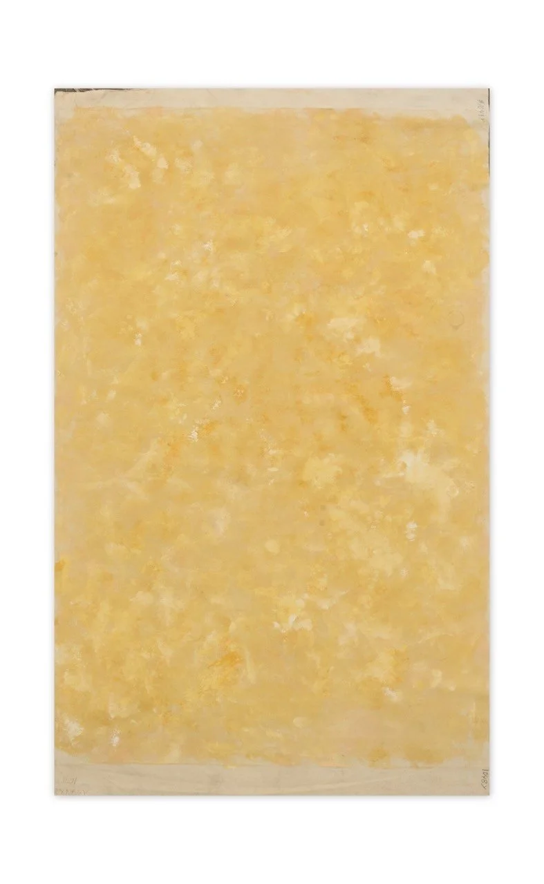 TBN83506 Yellow Surprise 70%22 x 45%22 .jpeg