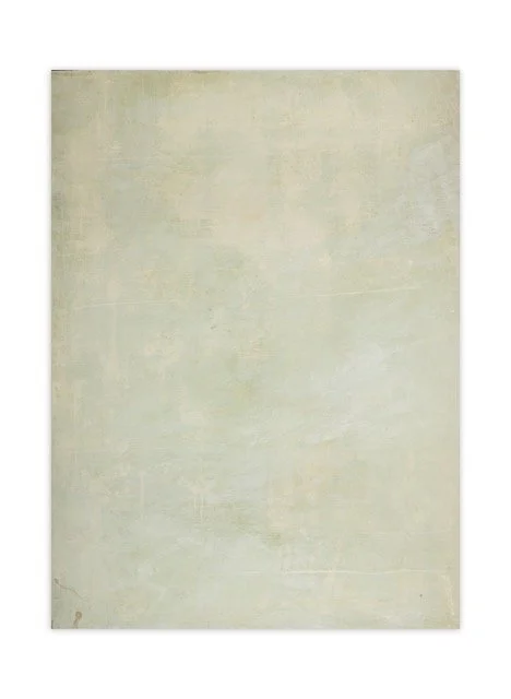 TBN-83736-36X48-GREENISH-WASH-PLATER Medium.jpeg