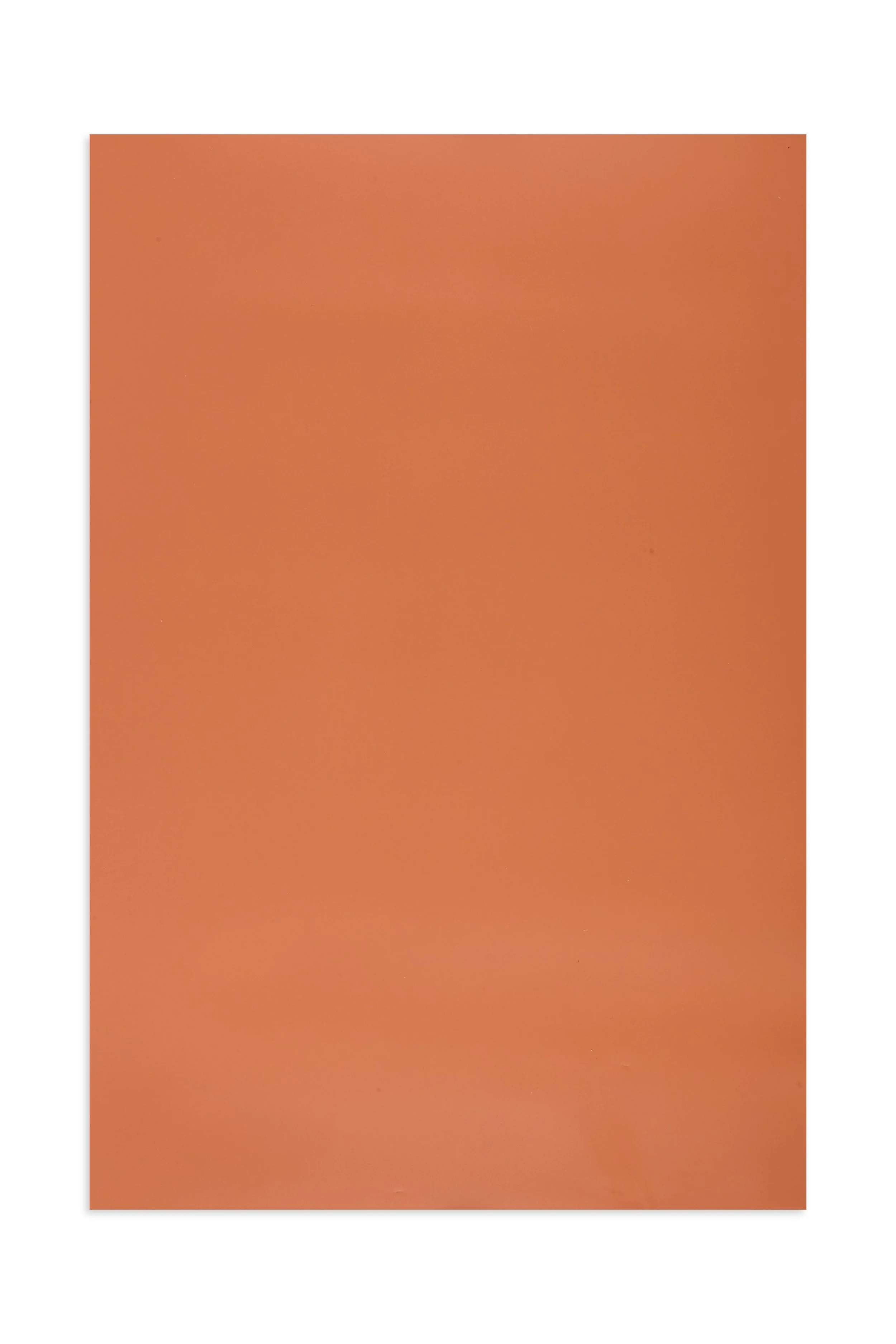 V-Club_Coral_Three_Bird_Prop_Surfaces1400 1.jpeg