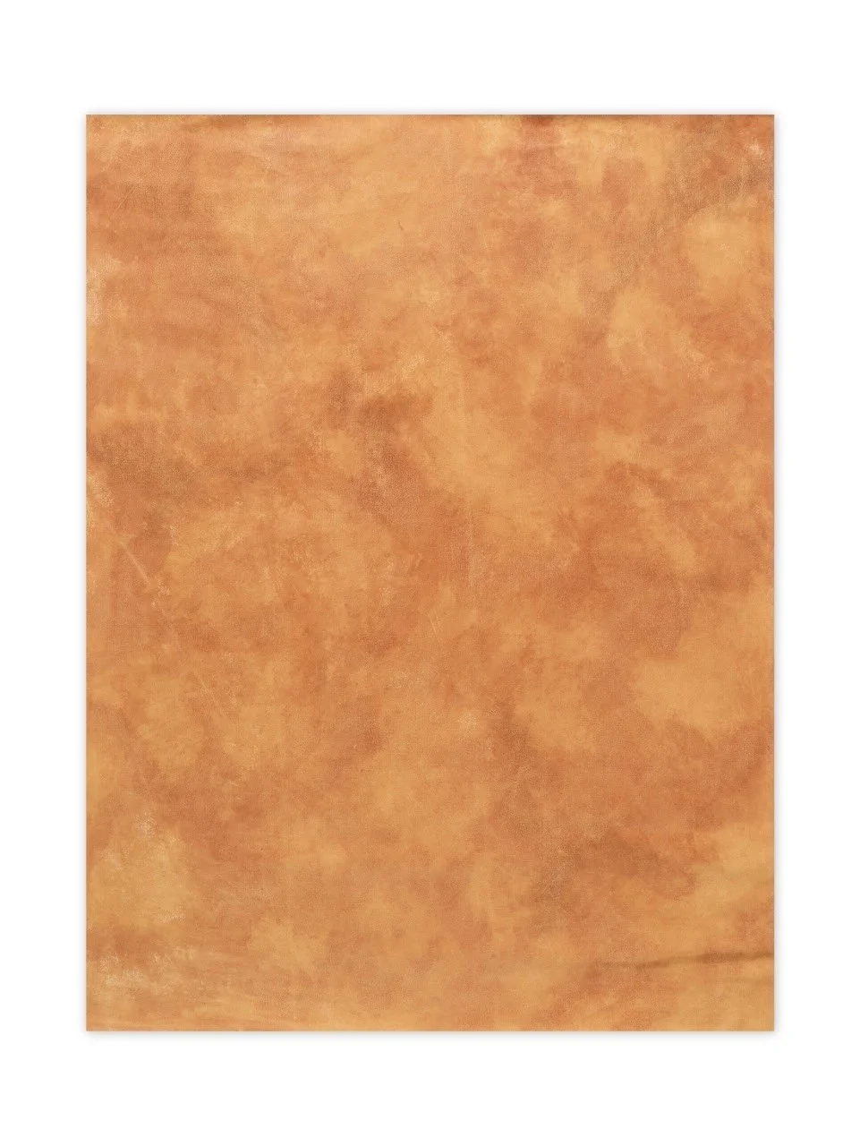 TBN8116588 Sunbaked Clay Canvas | 54%22 x 42%22 Large.jpeg