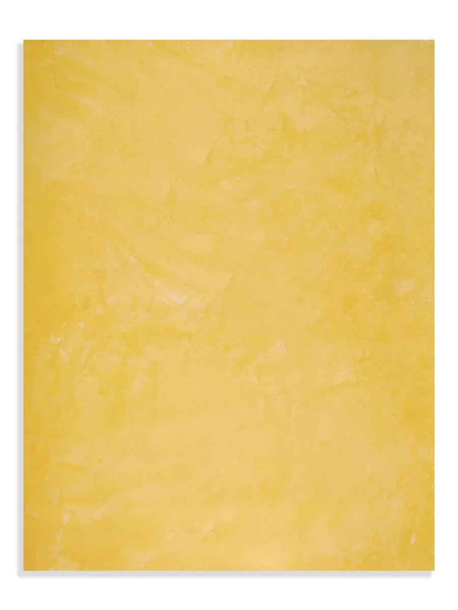 TBV0310 Limoncello | 36%22 x 48%22.jpg