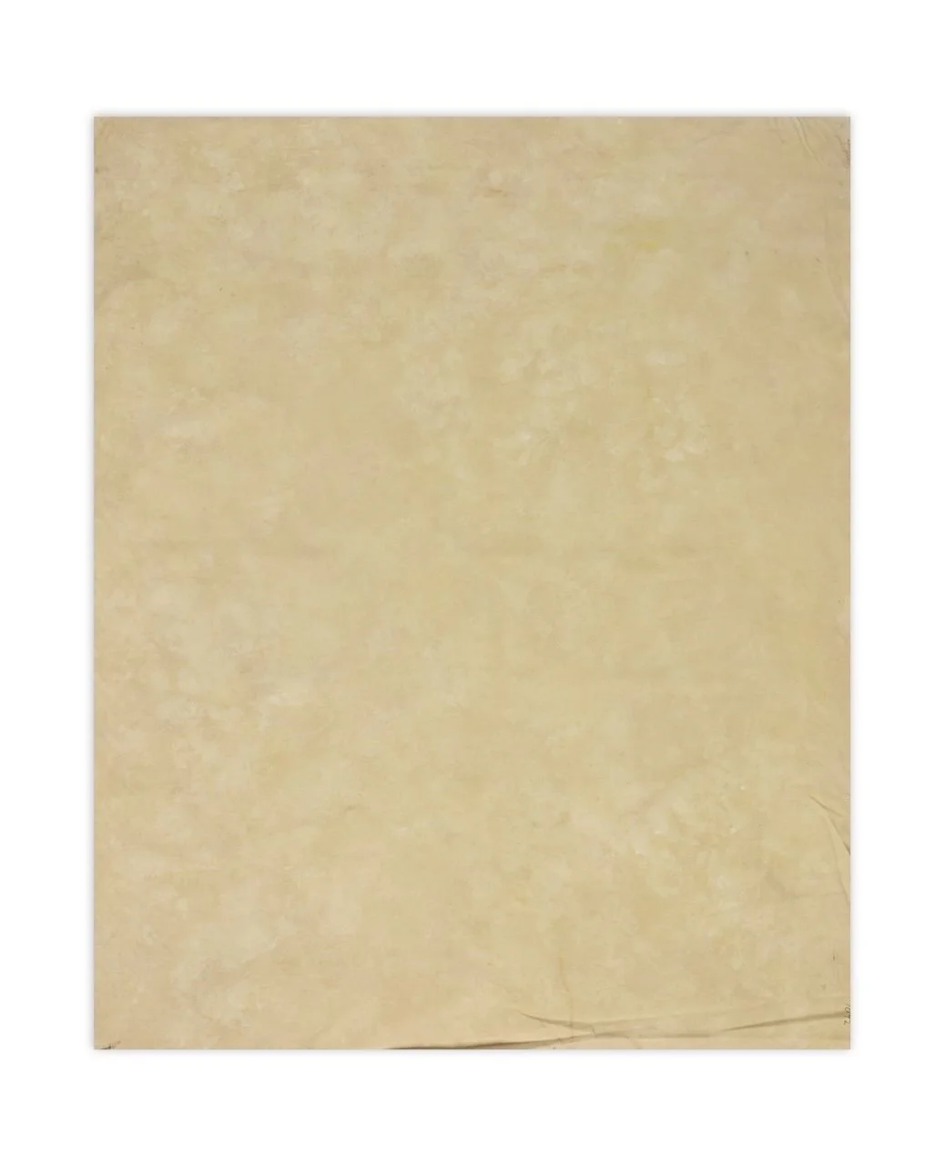 TBN83098 Cream Wash Canvas 72%22 x 59%22 Large.jpeg
