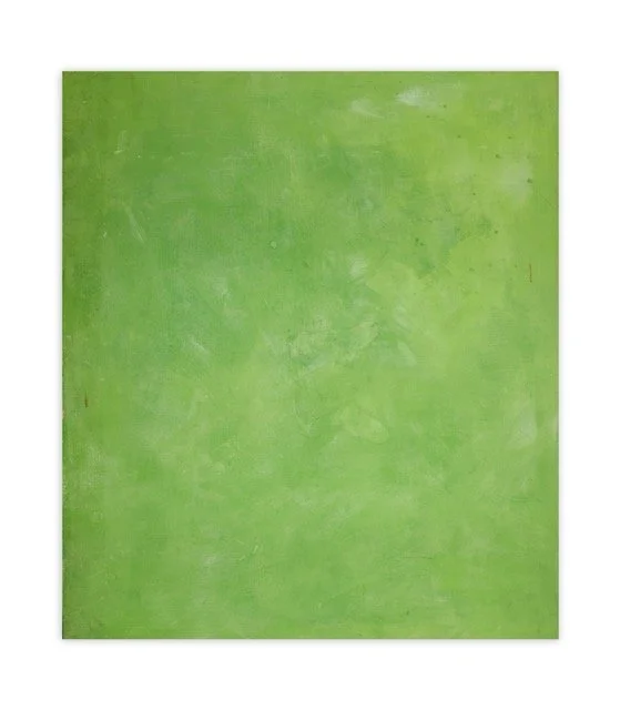 TBN-83278-37X42-GREEN-GRASS-PLASTER Medium.jpeg