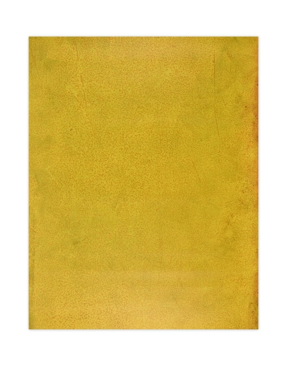 TBV0313 Platano Yellow 36%22 x 48%22 Large.jpeg