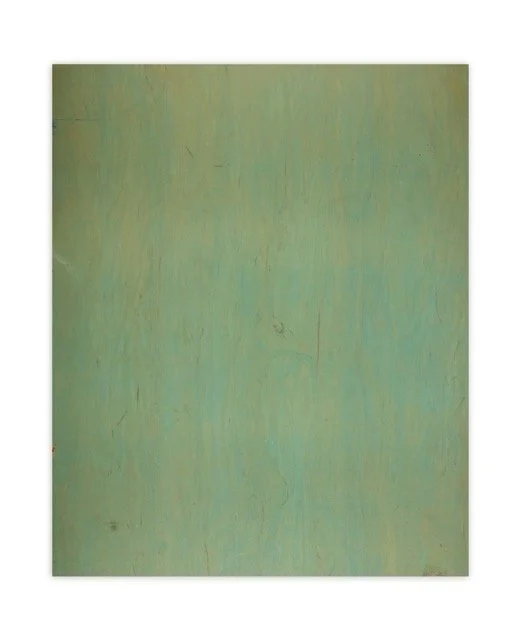 TBN-37519-36X48-PALE-SEAFOAM-GREEN-PAINTED-BIRCH 1 Medium.jpeg
