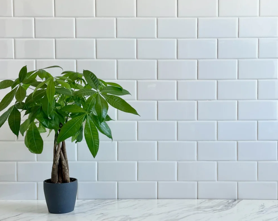 N301 - White Subway Tile - 36” X 49” Detail1.png