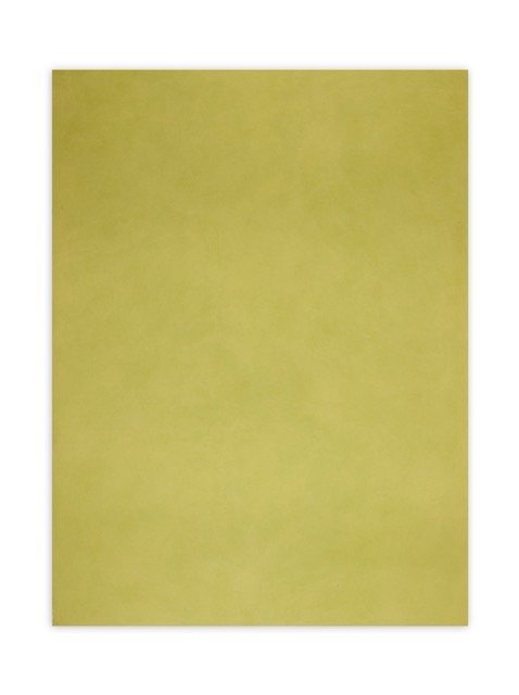 TBN-0102-30X40-LIME GREEN-WAX -FINISH Medium.jpeg