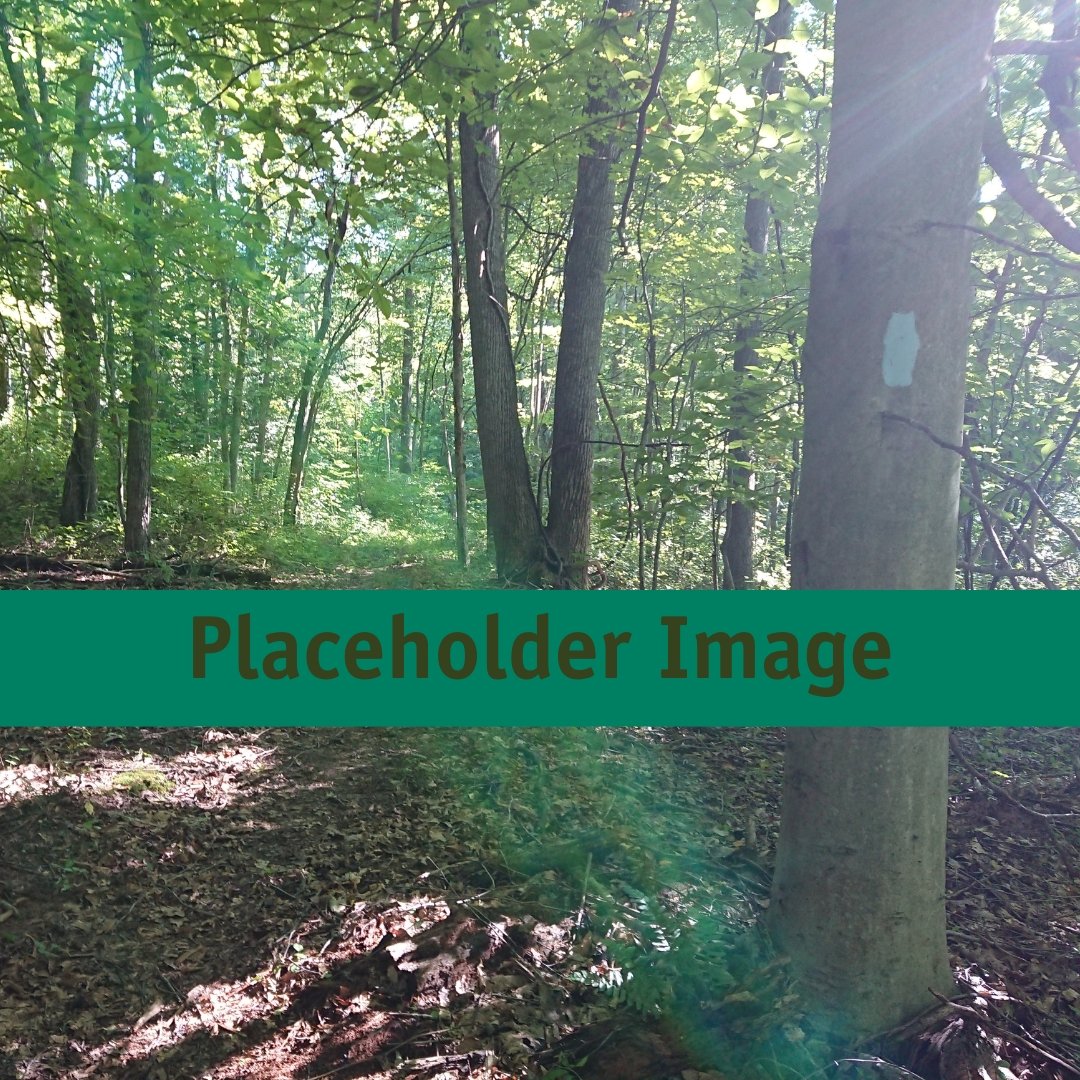 November Circuit Hike - Saturday