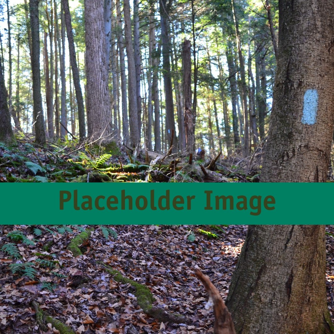 November Circuit Hike - Sunday