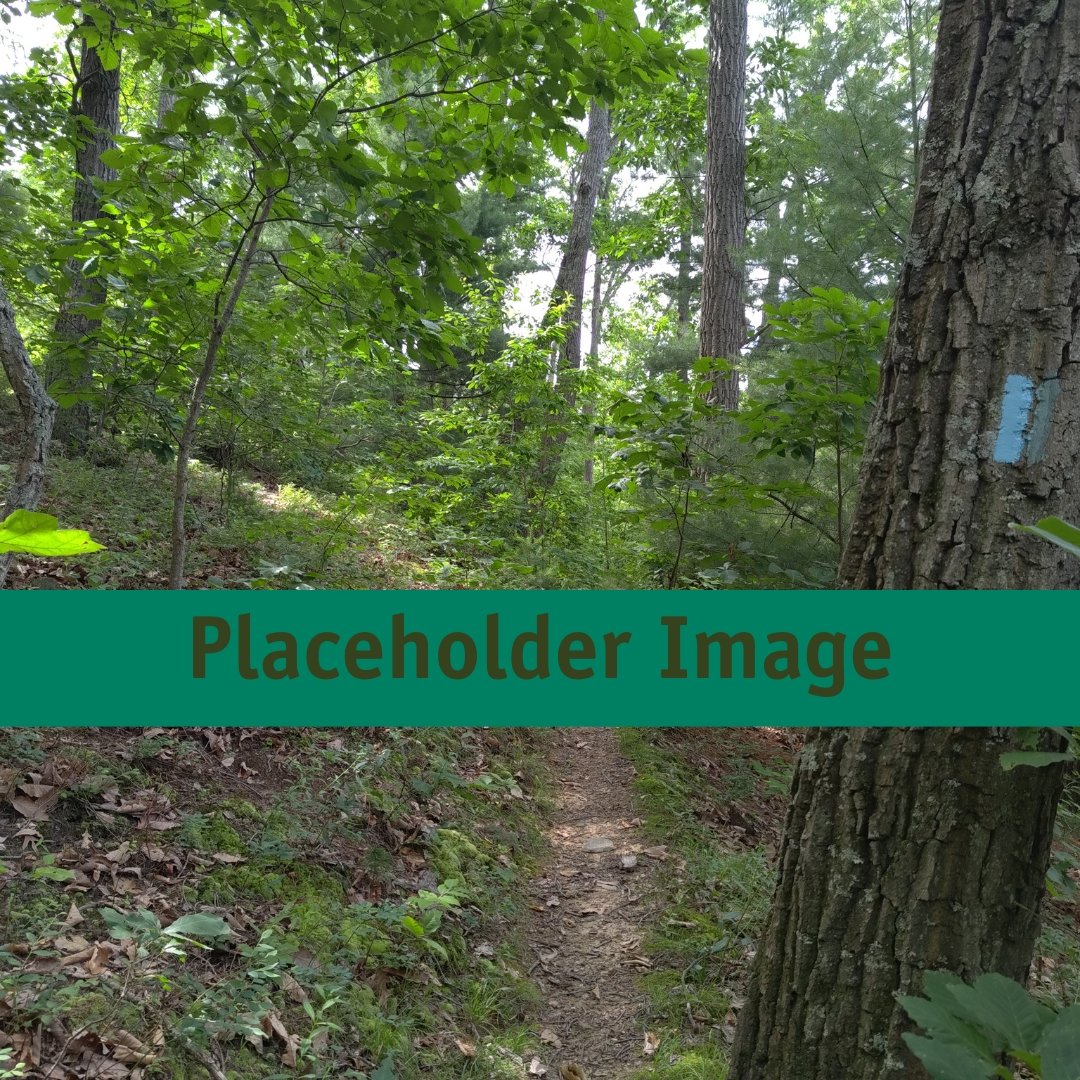 December Circuit Hike - Sunday