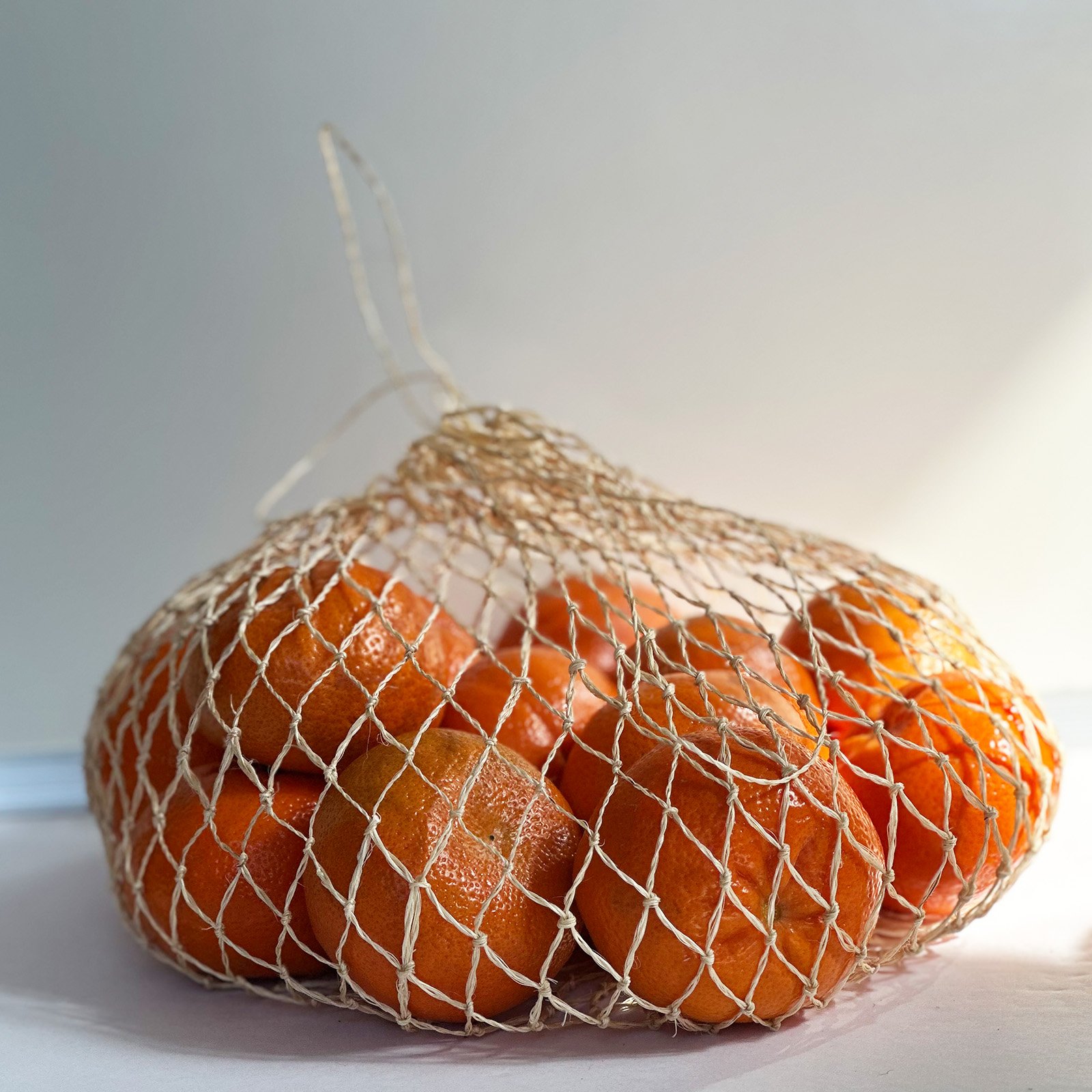 mesh1.jpg