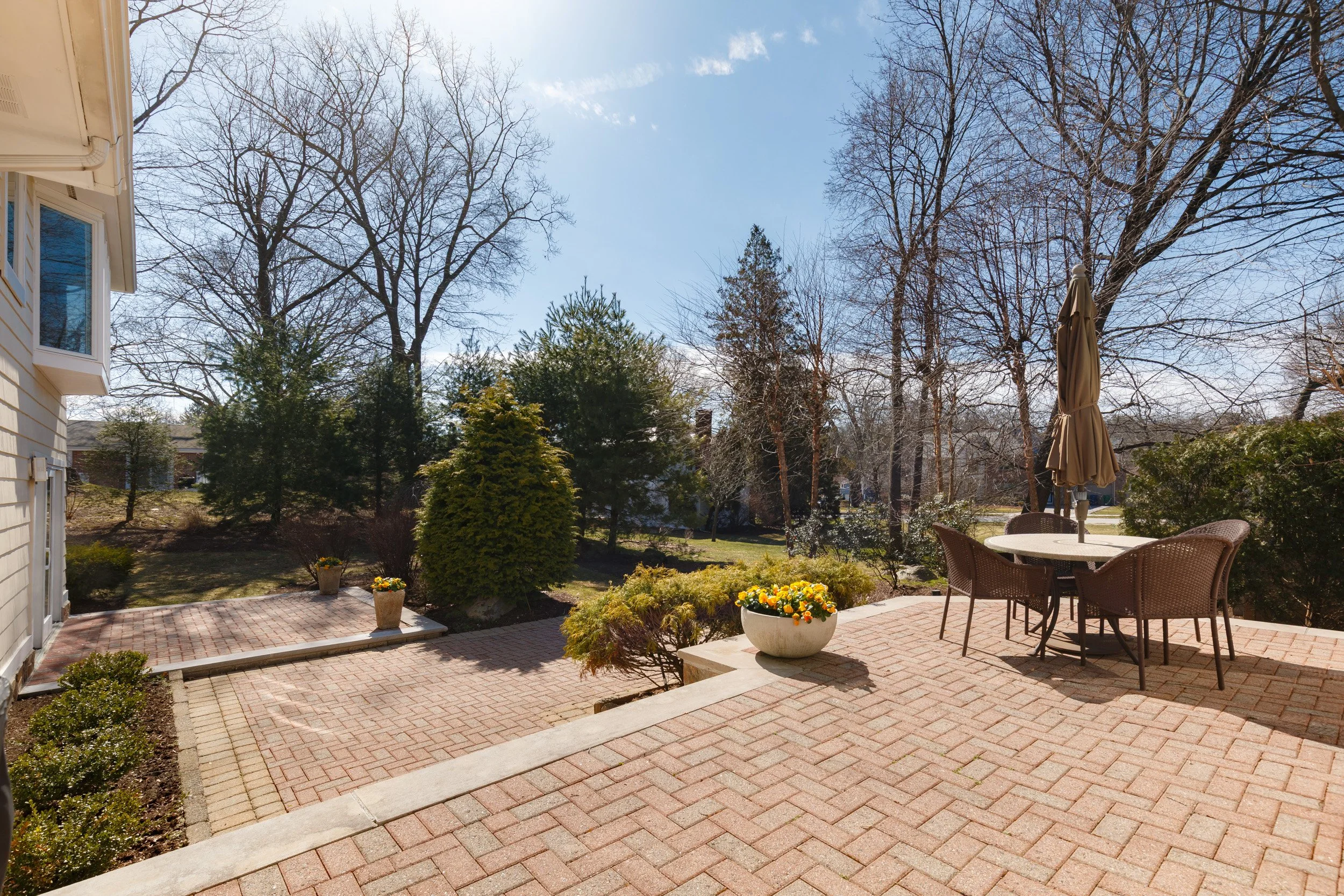 back brochure and web.jpg