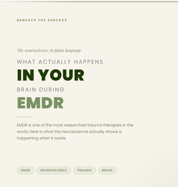What Actually Happens in Your Brain During EMDR (In Plain Language)