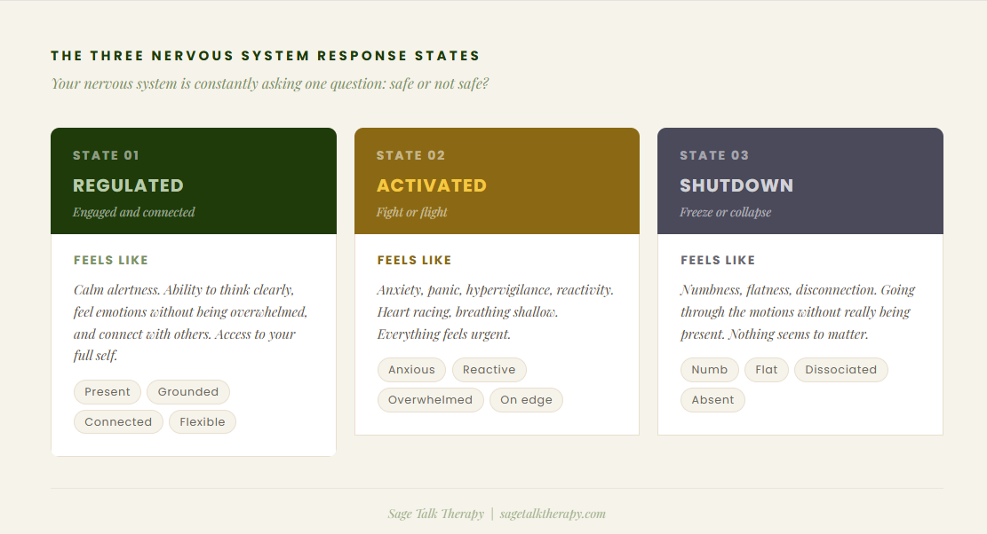 Diagram showing the three nervous system response states: regulated, activated, and shutdown