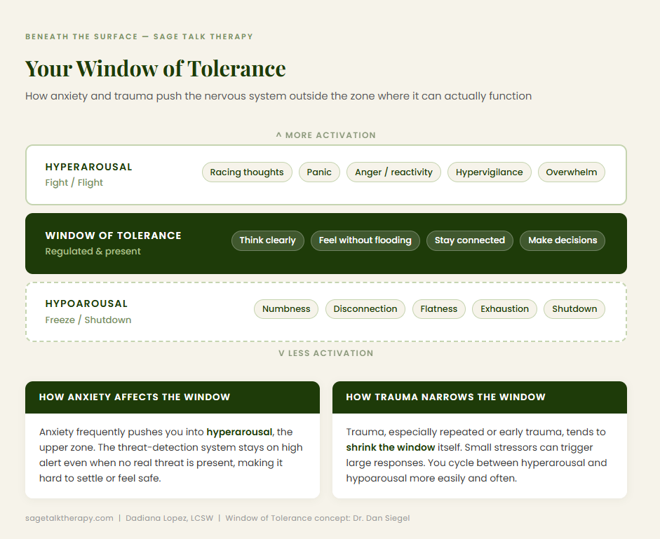 The window of tolerance diagram as a vertical three-zone stack: hyperarousal (top), the window (dark green, middle), hypoarousal (bottom). Symptom tags in each zone. Two explanation cards below for how anxiety vs. trauma each affects the window.