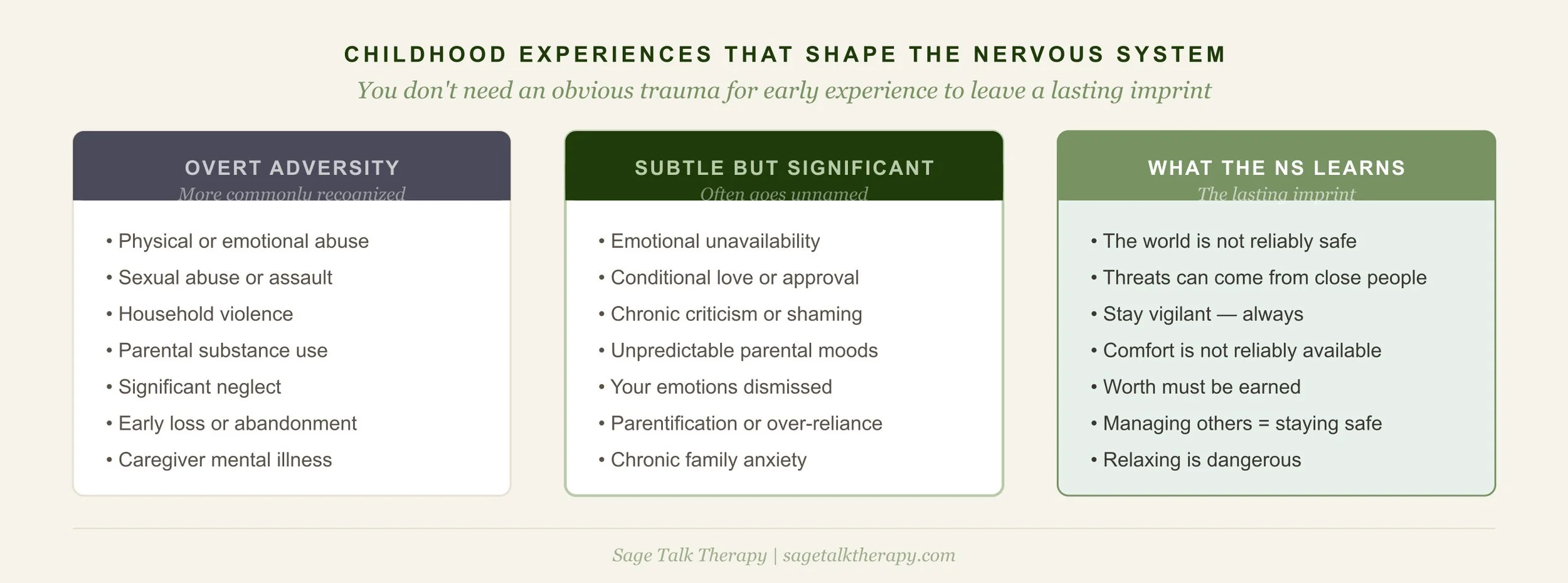 Diagram showing the range of childhood experiences that shape the nervous system, from overt adversity to subtle relational patterns, and what the nervous system learns from each
