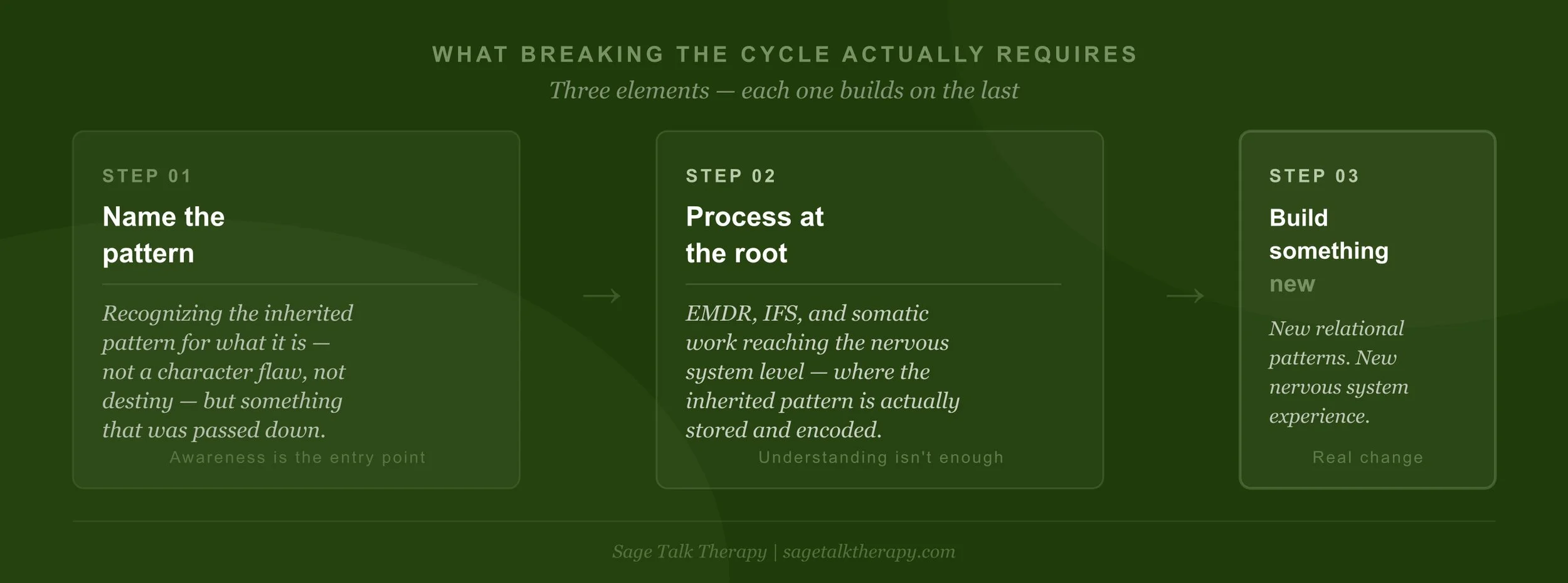Three-step diagram showing what breaking the intergenerational trauma cycle requires: naming the pattern, processing at the nervous system level, and building something new