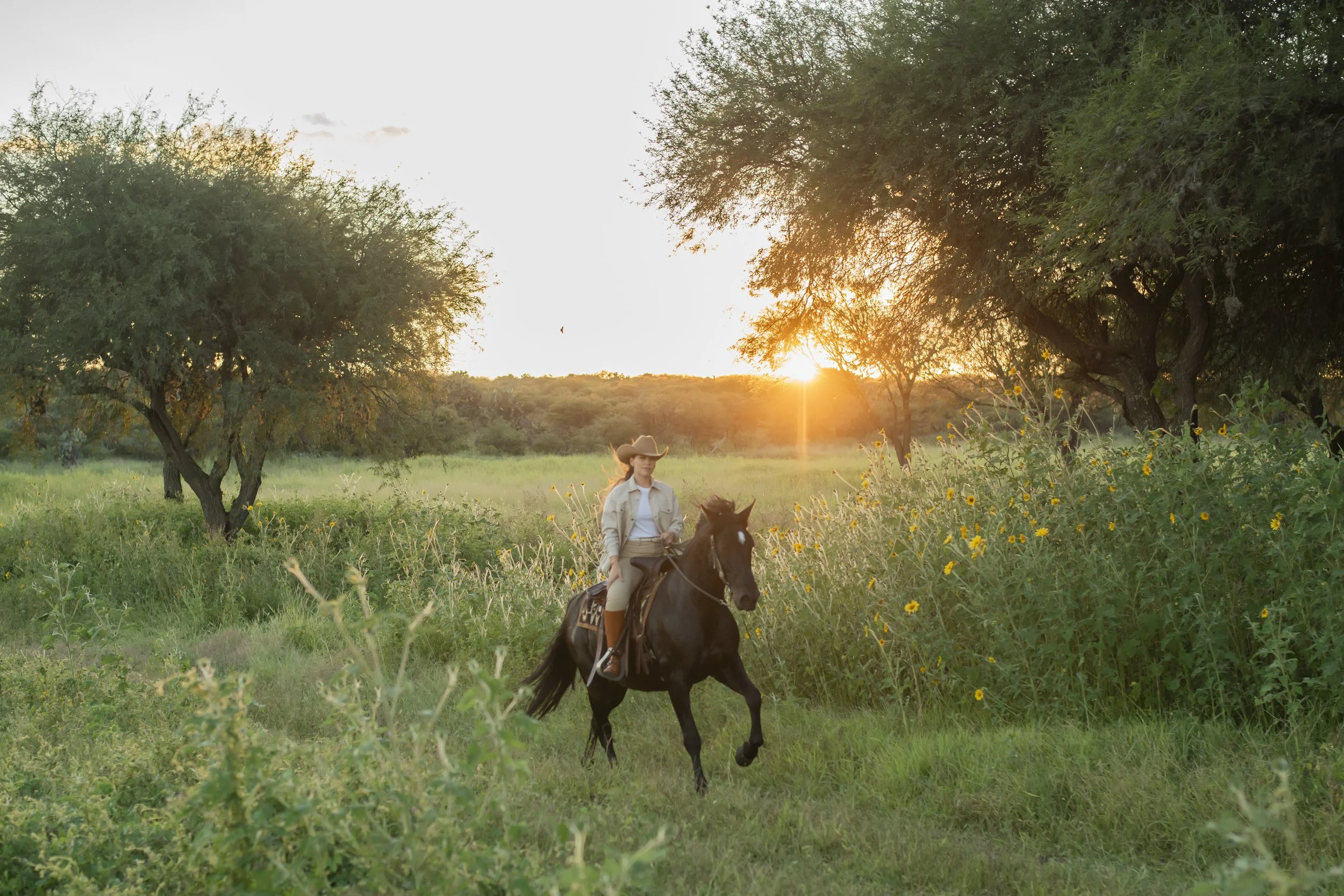 Rancho del Sol Dorado