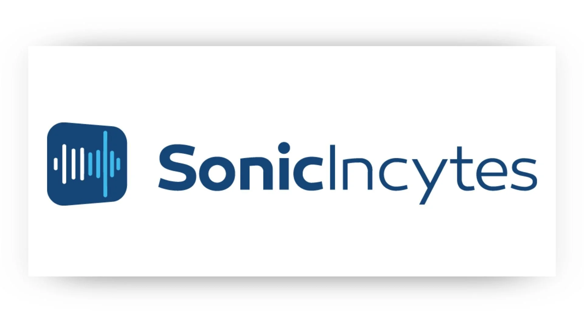 Logo of Sonic Lynx with a blue sound wave icon and the text 'soniclytes' in blue.