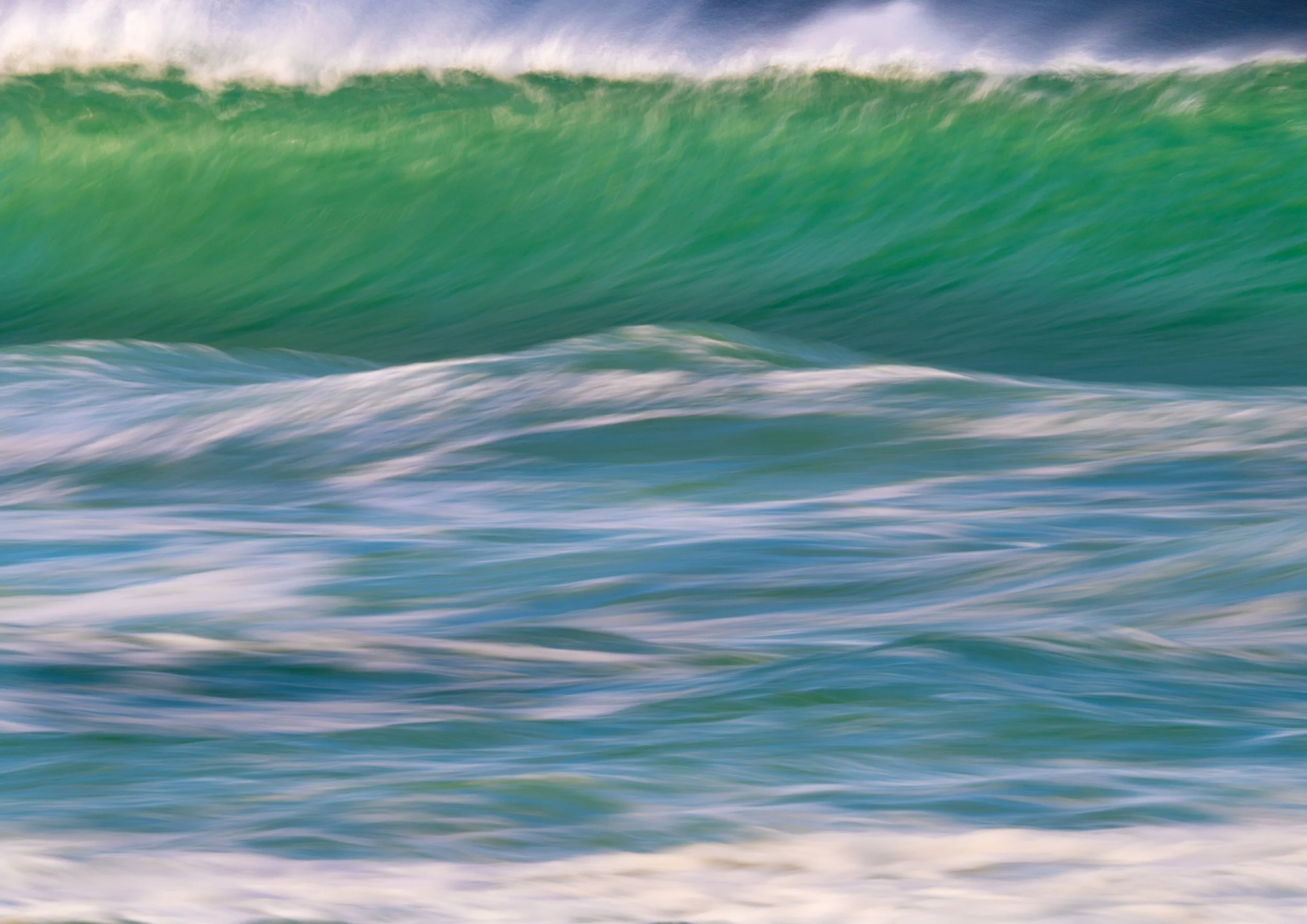 Hosta Wave
