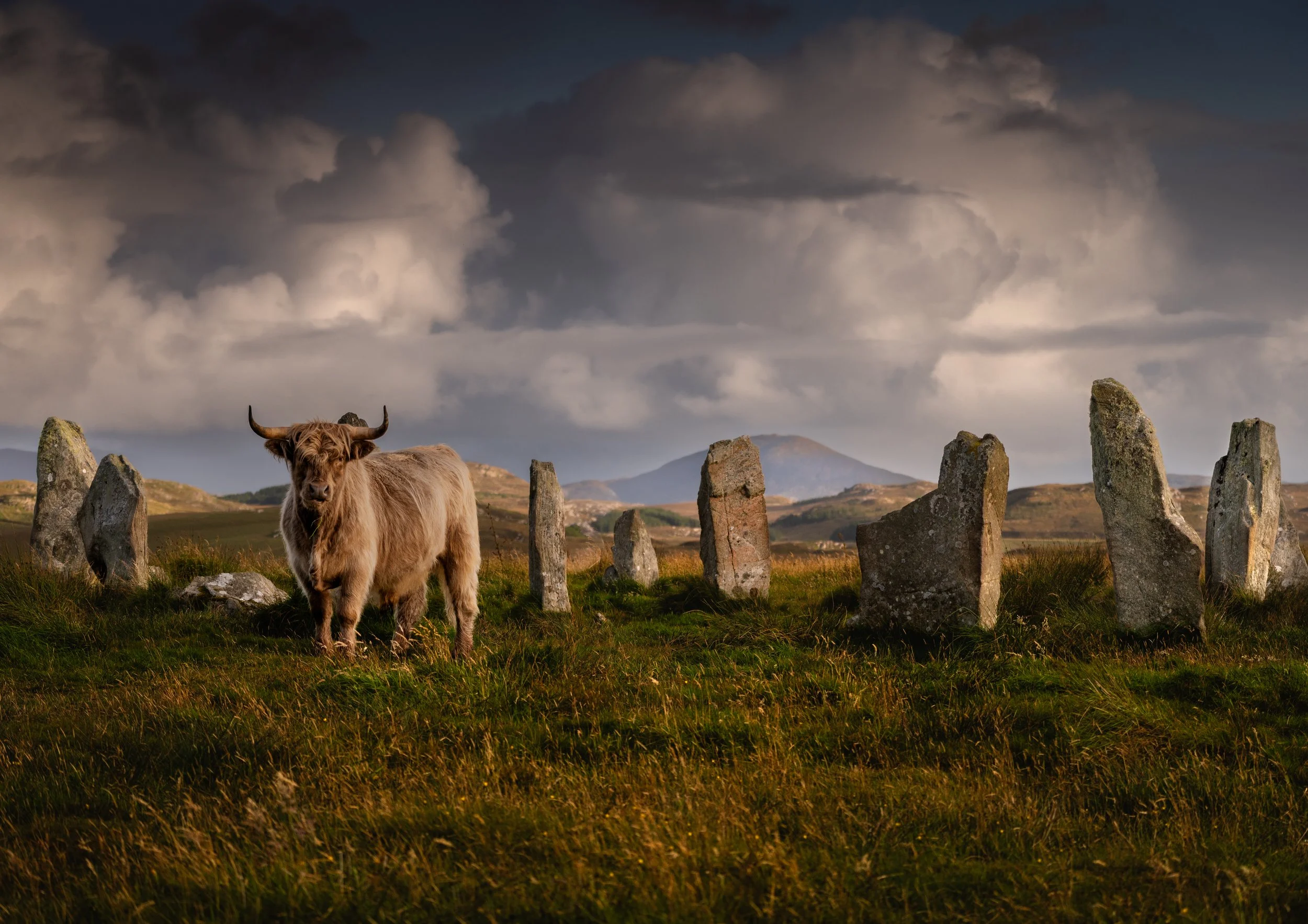 Callanish 3