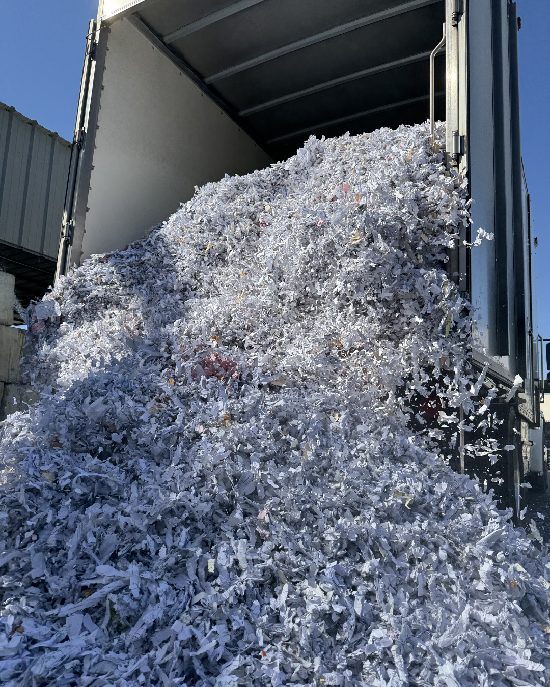 Shredded paper being emptied out of a shredding truck at PRSS Pomona, CA