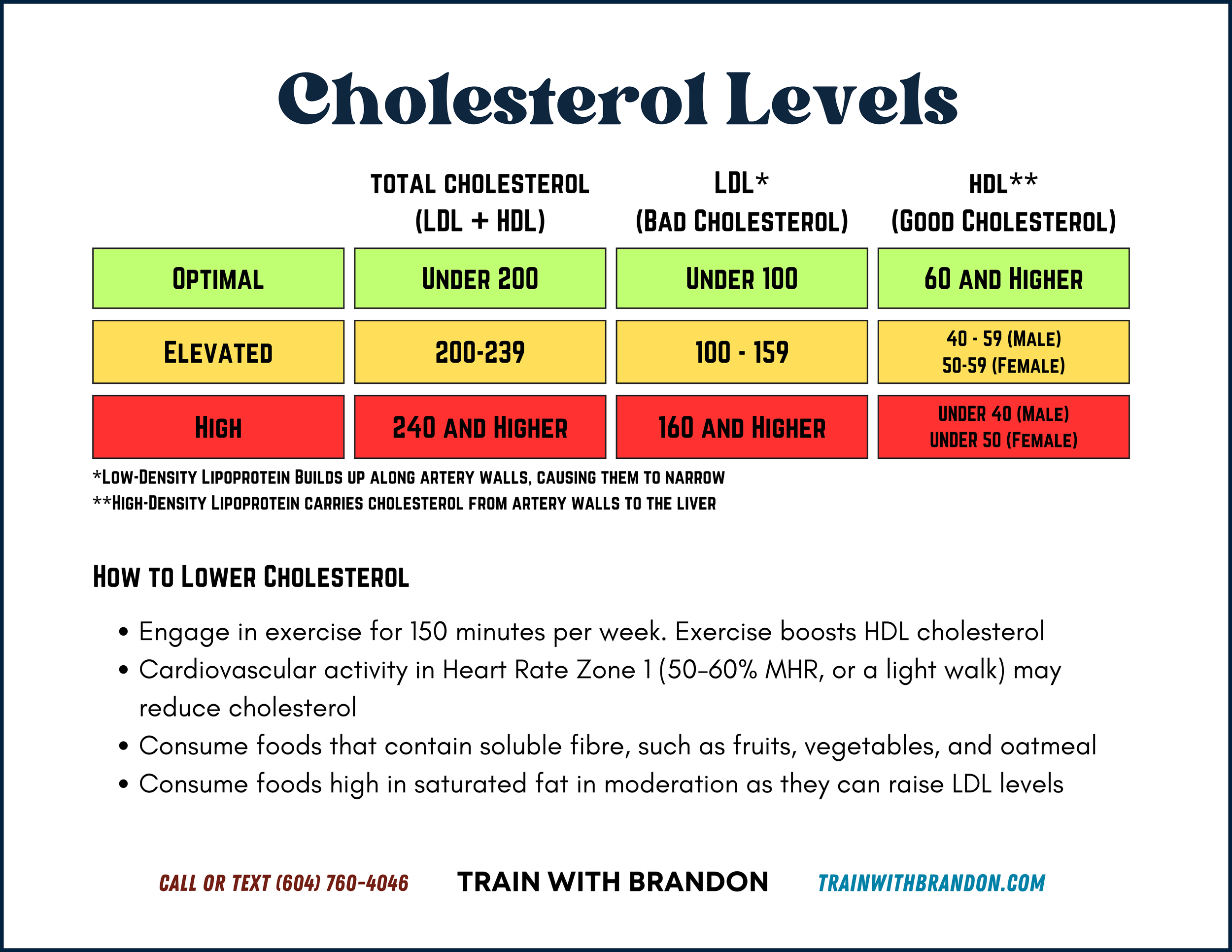 A chart showing levels of cholesterol, categorized as optimal, elevated, and high, with ranges for total cholesterol, LDL, and HDL, including tips for lowering cholesterol through exercise, diet, and activity.