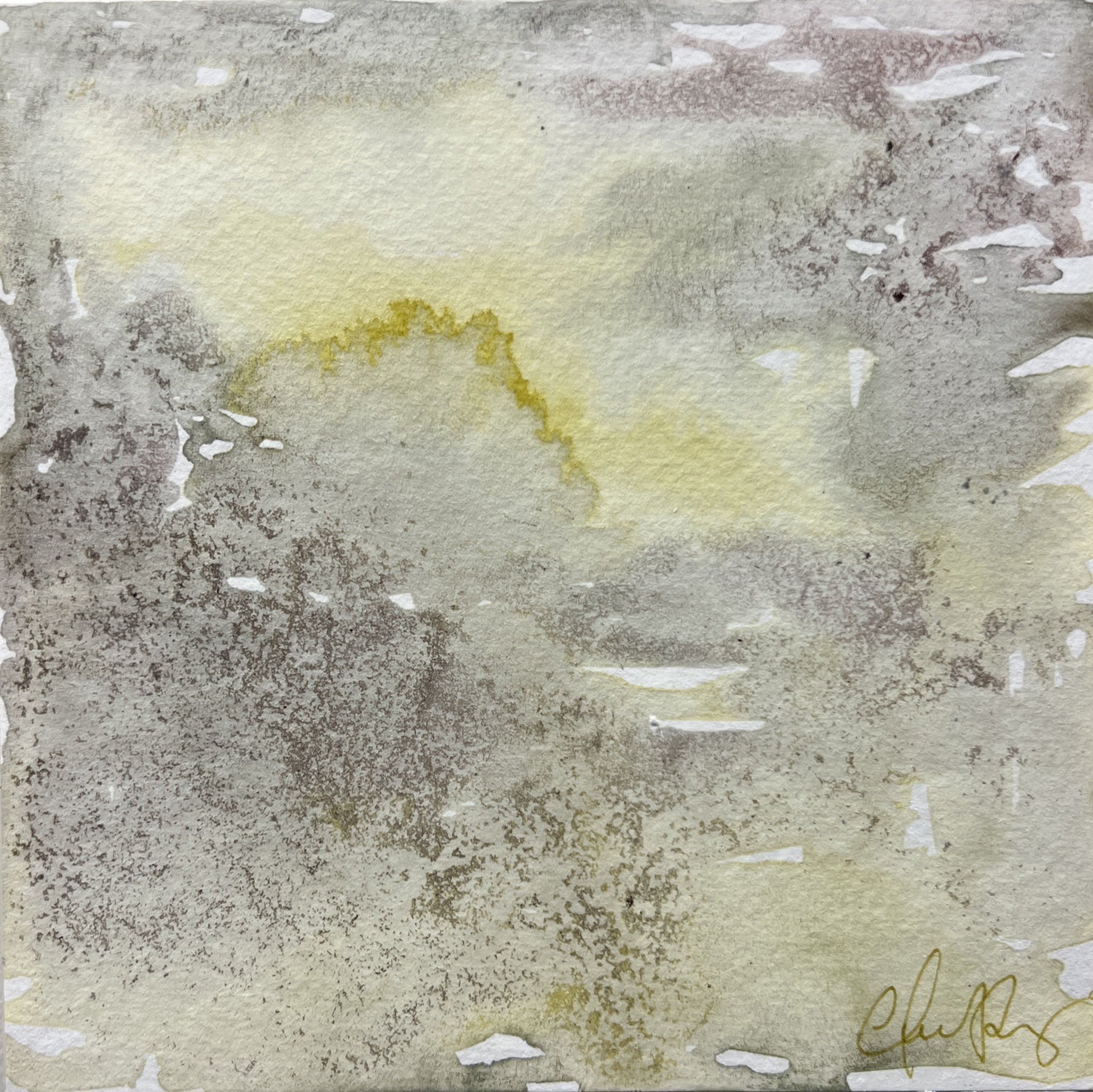 "Mahler's 5th - 2nd movement blend test" | Natural inks created from: Morning glory (mystery), Yellow mum (change), Marigold (grief), Raspberry (transformation), Blackberry (protection) | Artist: Amanda Roy | 2024 | Meditation: "Symphony 5 - second m