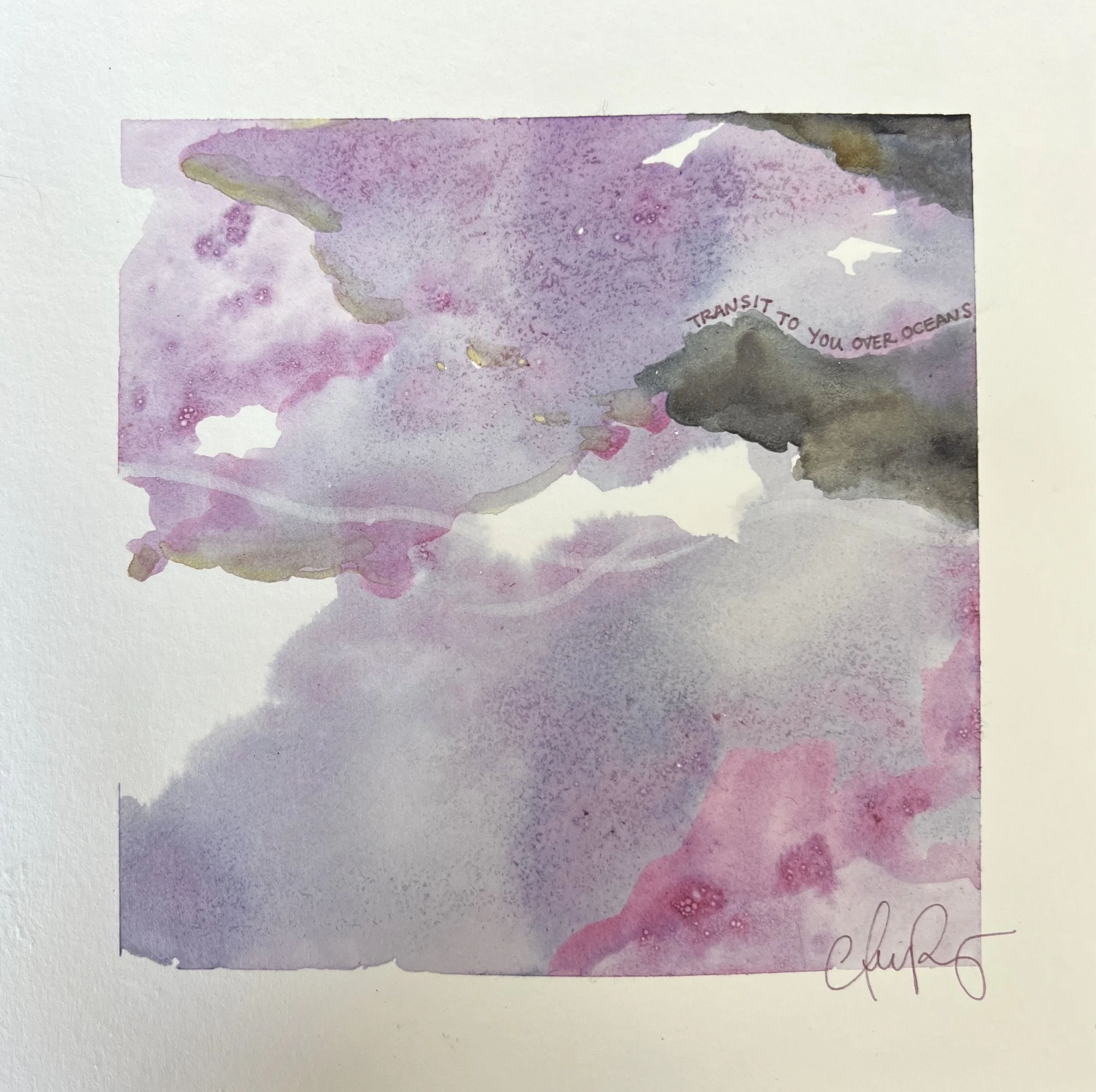 "Beautiful" | Natural inks created from: Raspberry (attraction/romance/deep connection), Iron Gall (intensity), Ninebark (love/hope/warmth) | Artist: Amanda Roy | 2025 | Meditation: "Beautiful" by LEISURE | 8"x8" mixed media on paper| $300, framed.