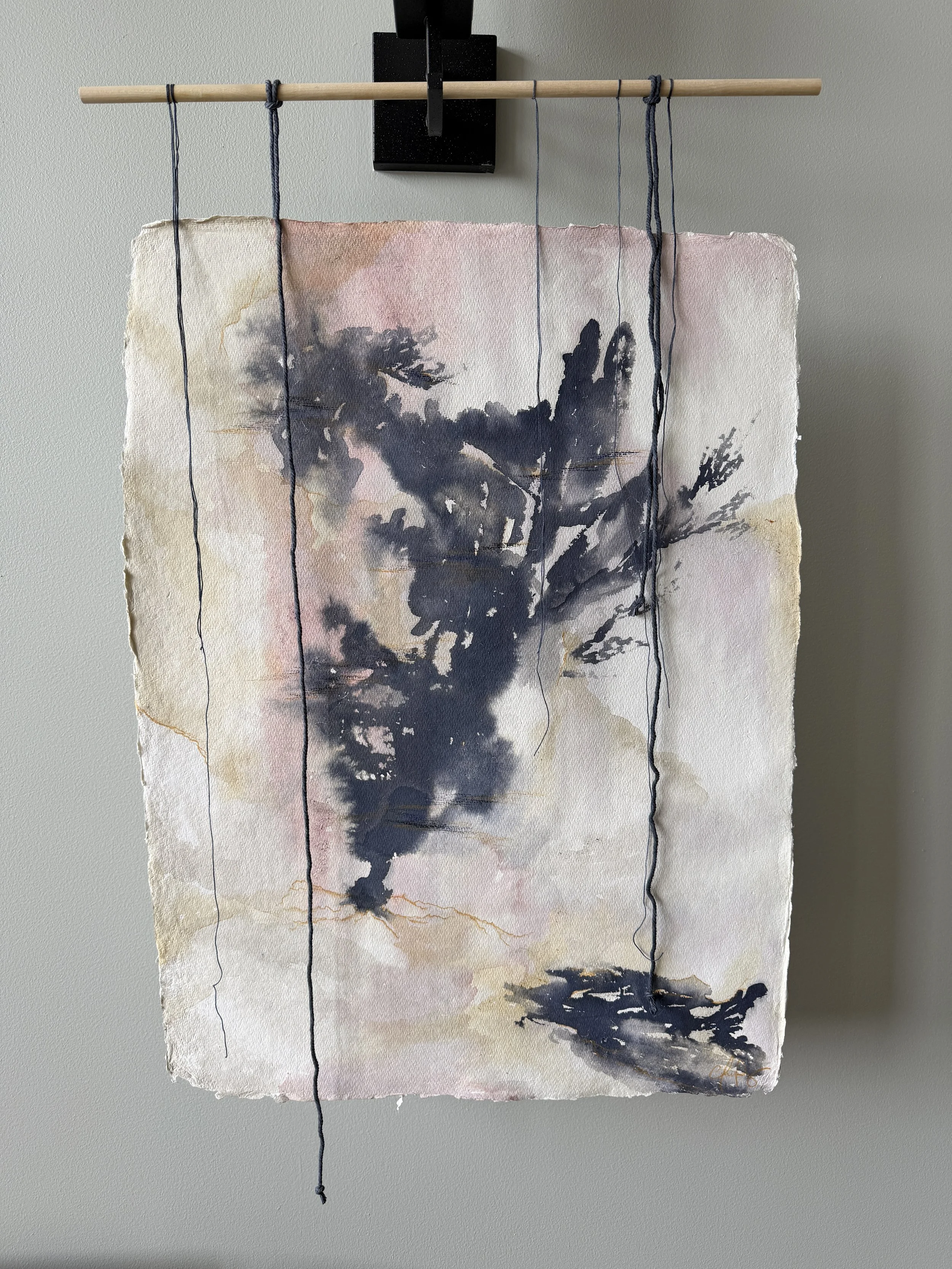 Solo Exhibitions