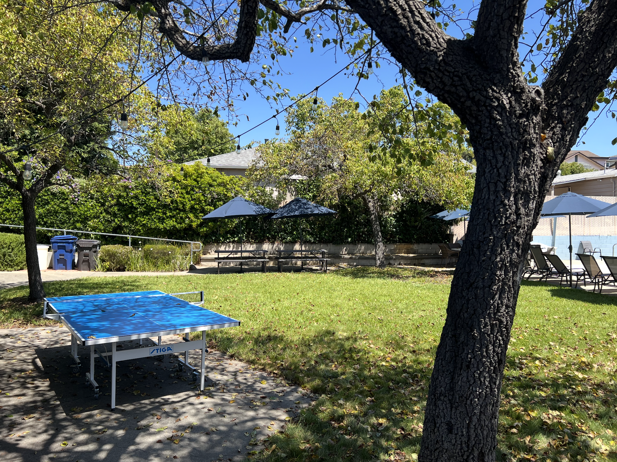 A grassy area and table tennis offer relaxation and fun