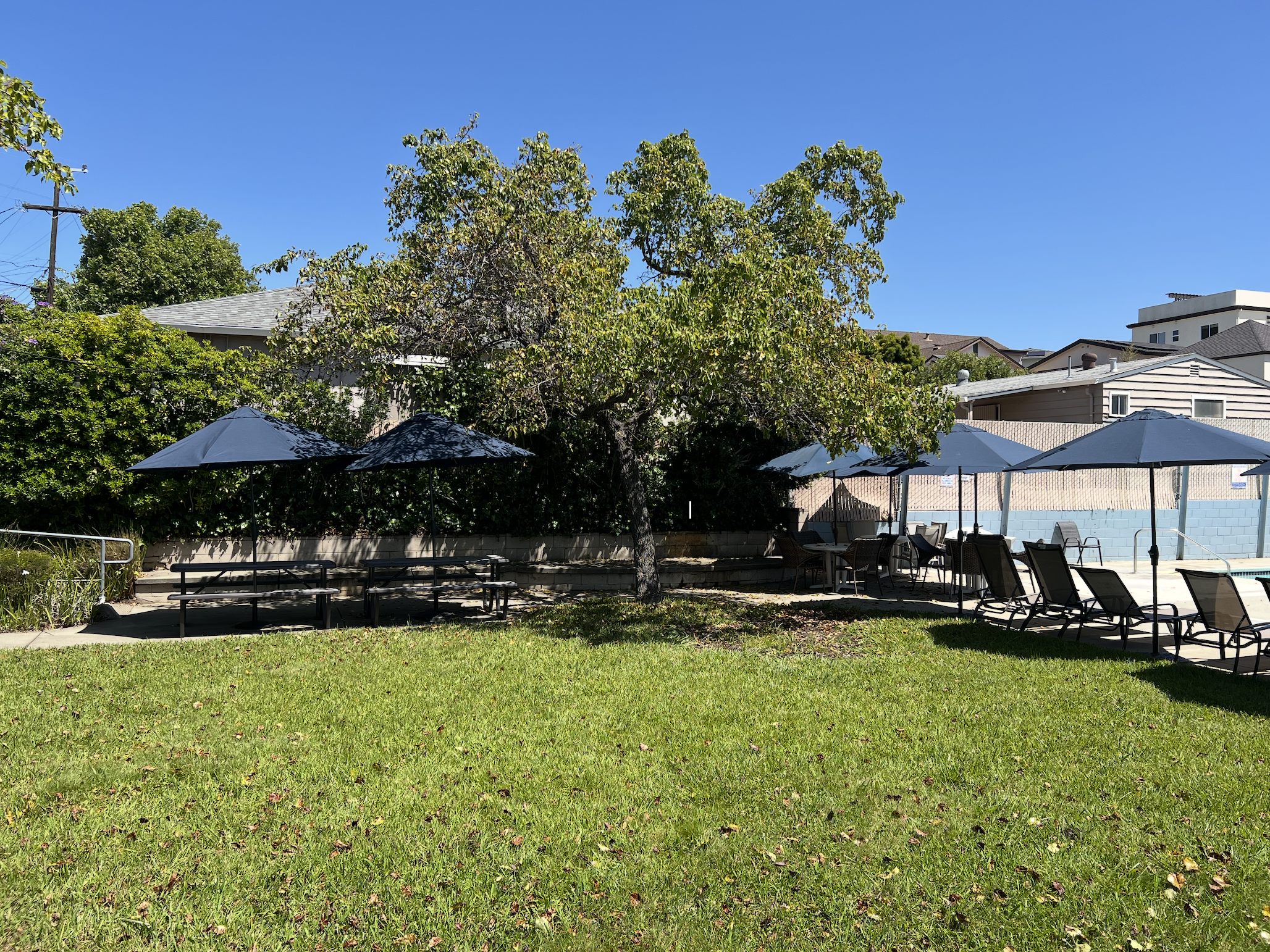 Longe chairs and picnic tables offer plenty of seating