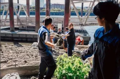 Duckworth Beach Brigade Volunteer Cleanup