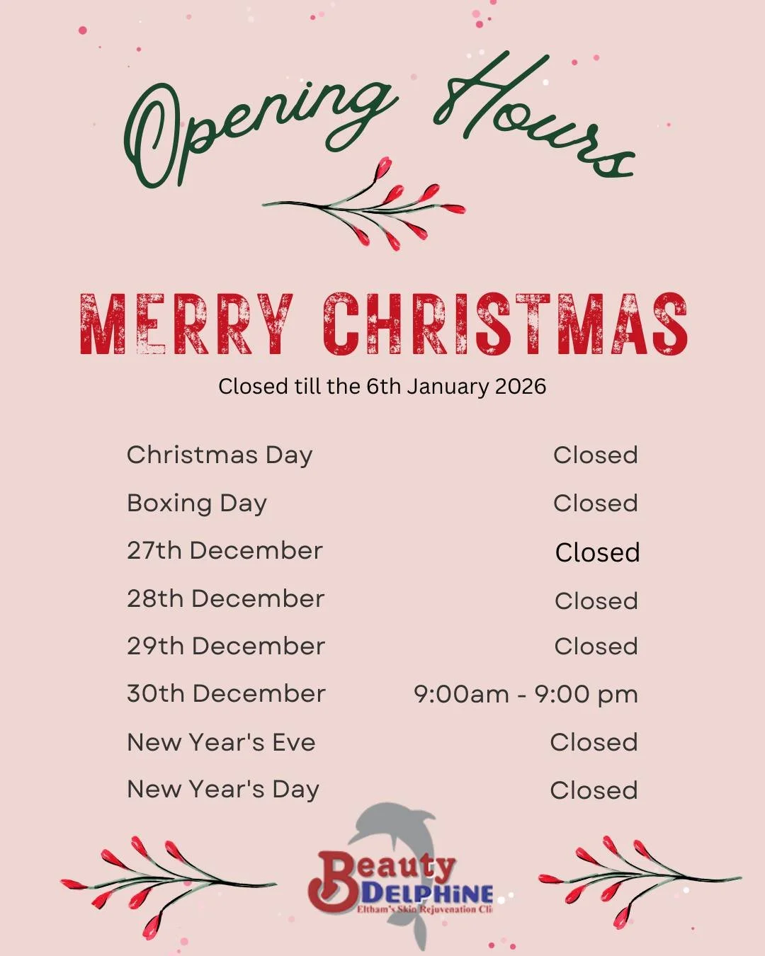 🎀Beauty Delphine wishes you all a Merry Christmas and a healthy 2026.

🎅We are currently closed for the holiday season. To make an appointment, please use our online booking system available on our website (link in bio). If you need any products, p