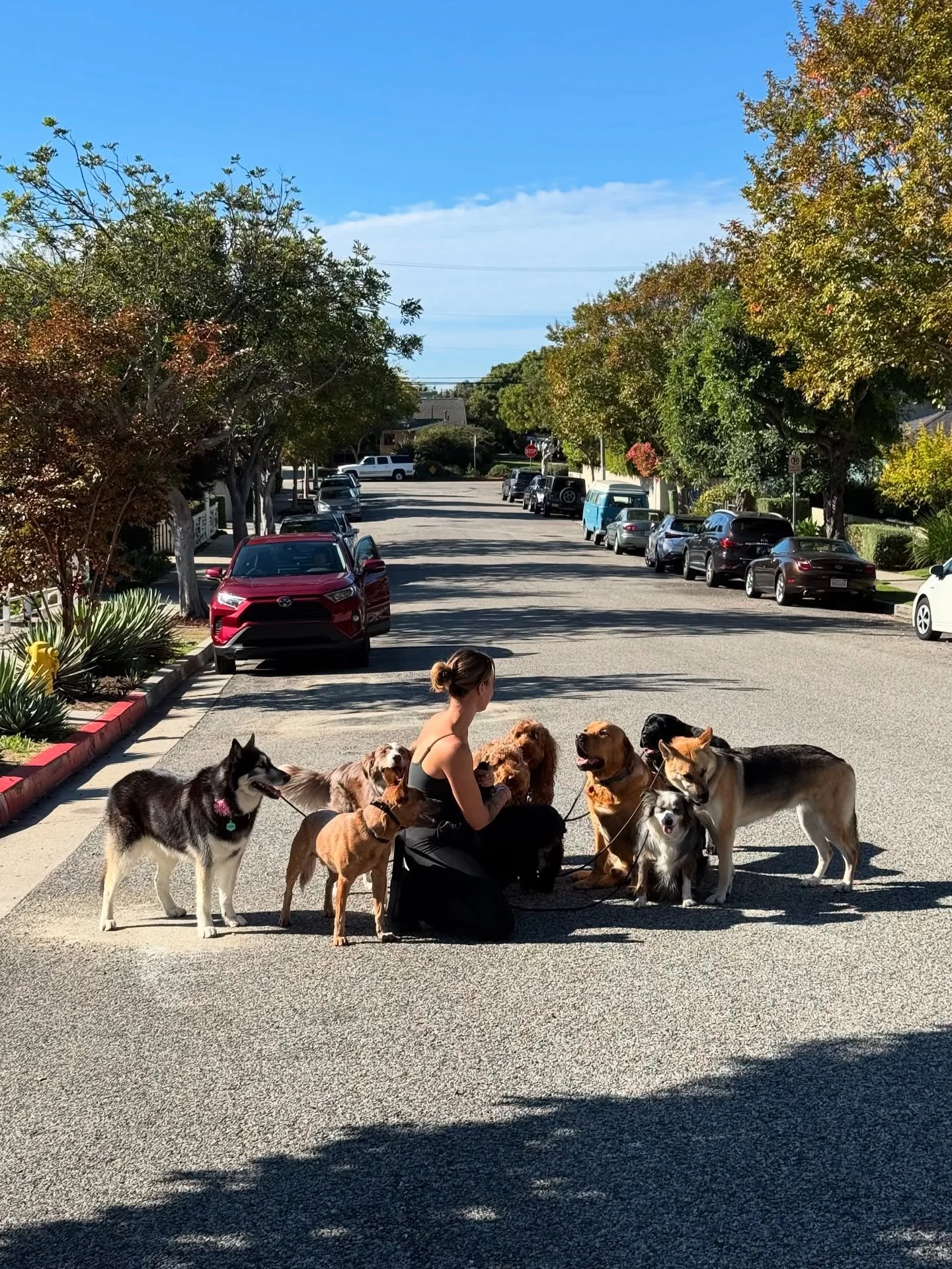 The only thing more powerful than hate is love.