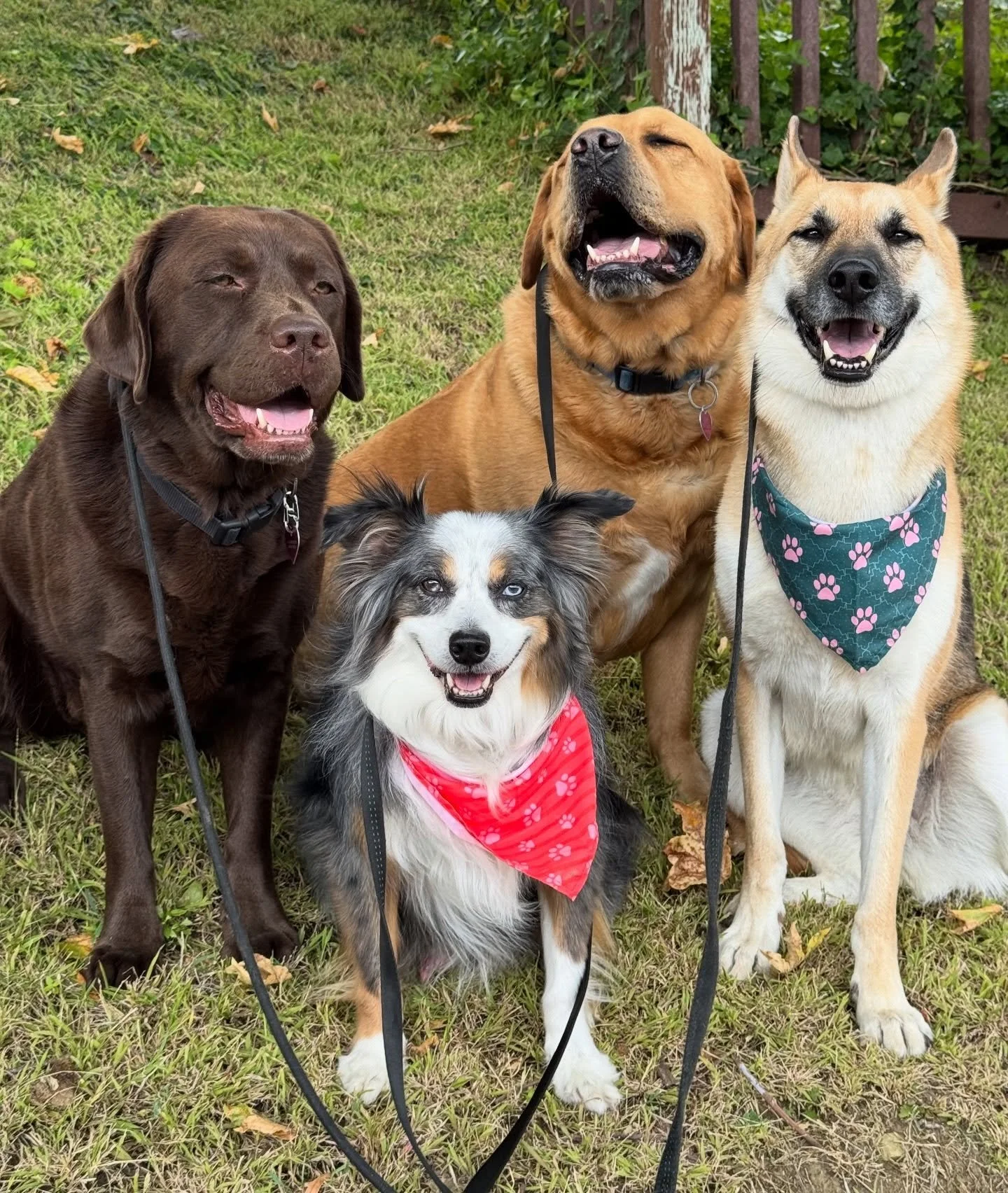 MAY this month be filled with smiles like these ;)