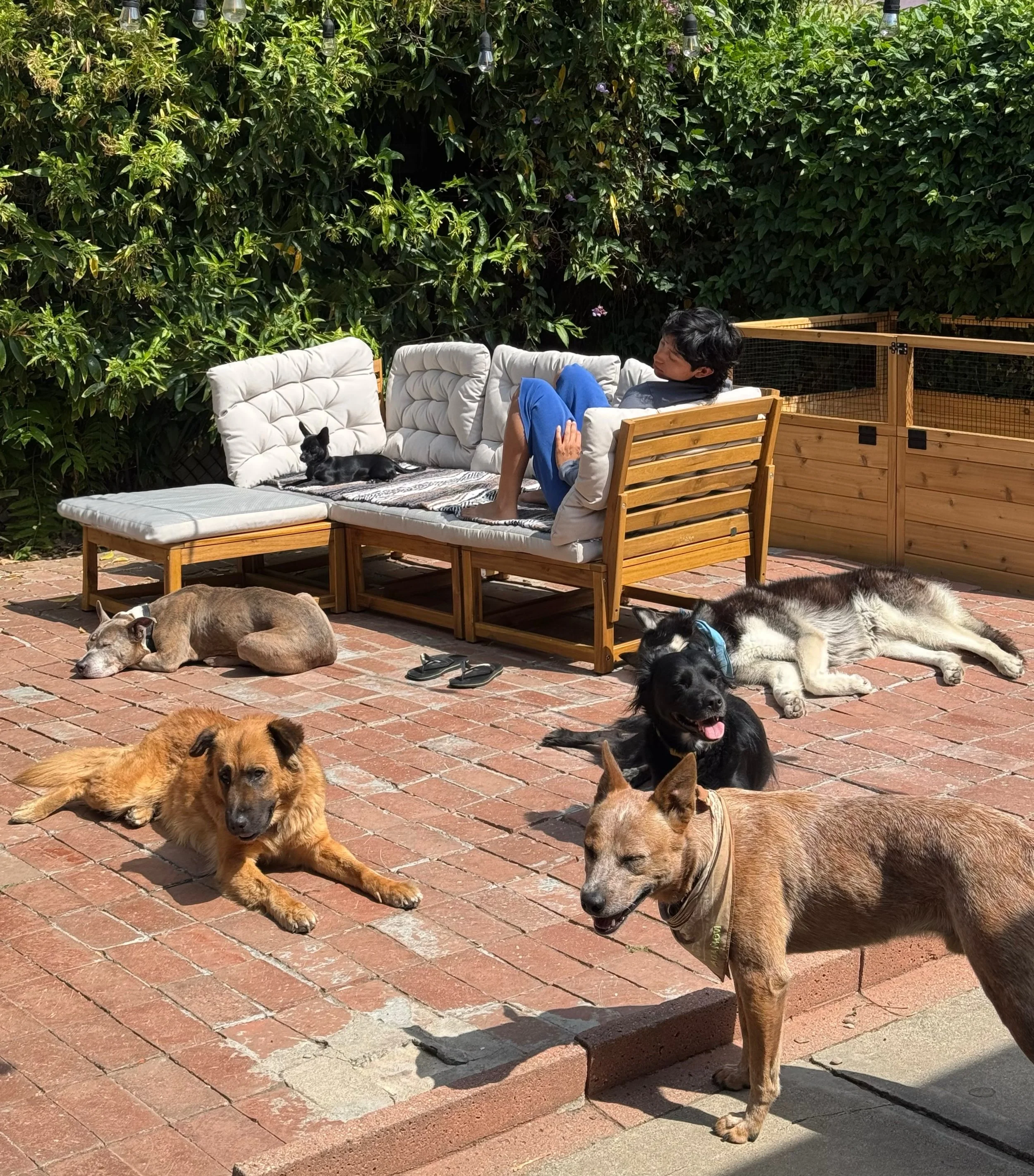 What our sunny mornings consist of ☀️