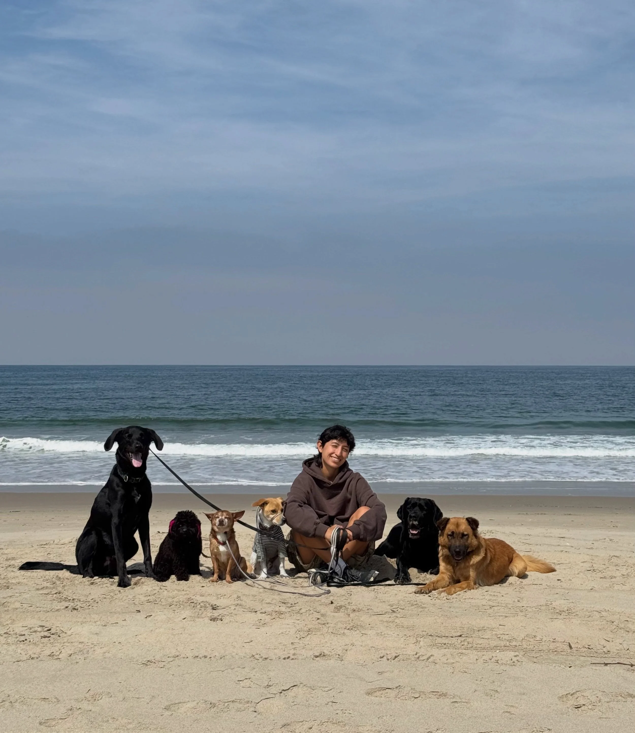 As &ldquo;perfect&rdquo; as this moment may look, there&rsquo;s a lot behind it. Every dog that is in the Pack represents time, patience, trust, and connection. Building those relationships is what allows us to enjoy moments like this together. One o