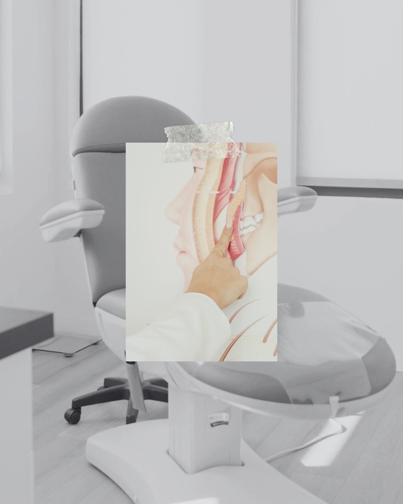 If you&rsquo;ve been in our treatment rooms, you&rsquo;ve seen the anatomy images on the wall. 

We use them every day. 

The face changes over time, and it doesn&rsquo;t change all at once. 

Skin changes. Support changes. Movement changes. 

Lookin