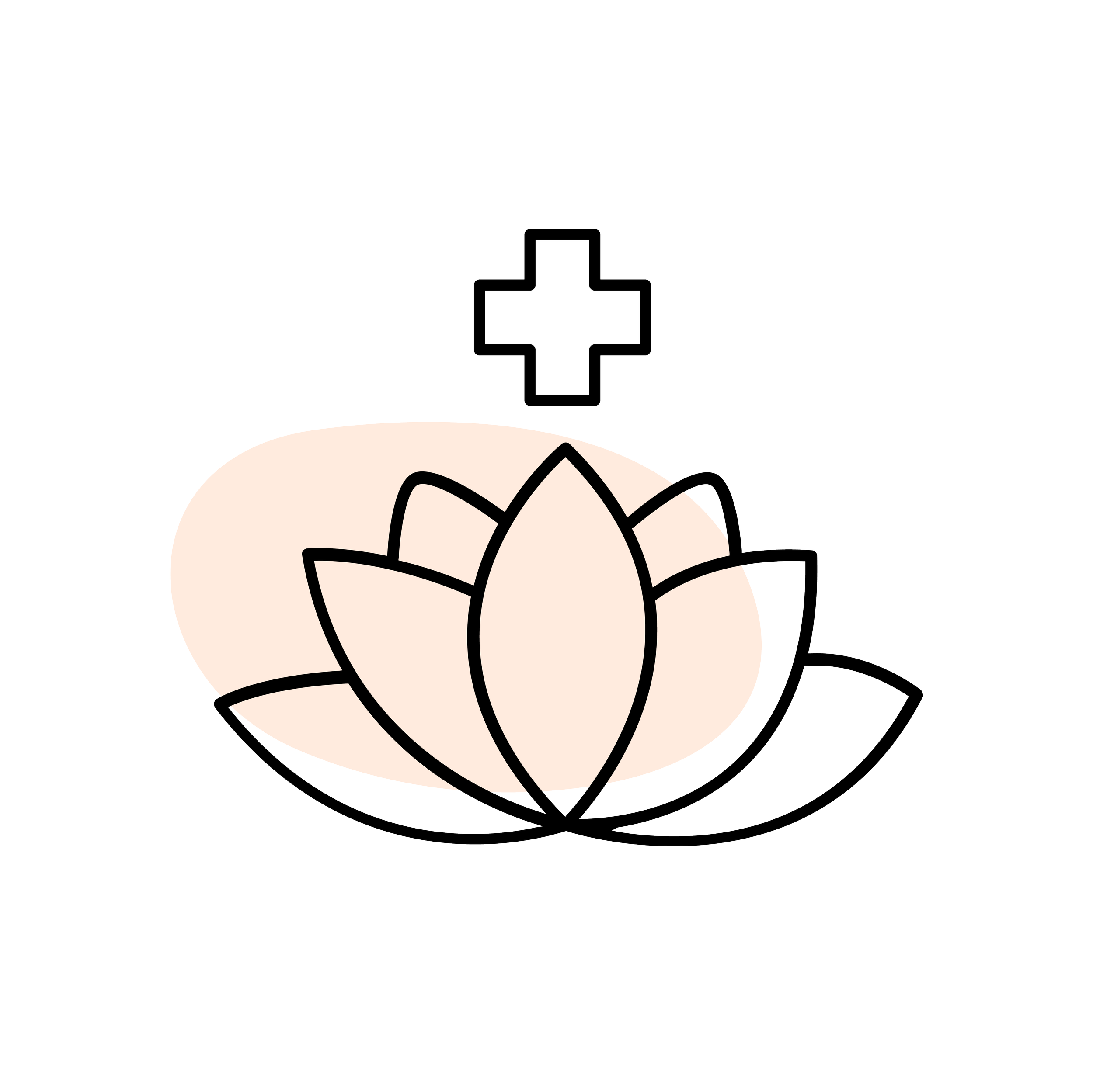 TCC Icons_5 - Medical Regulatory Bodies.png