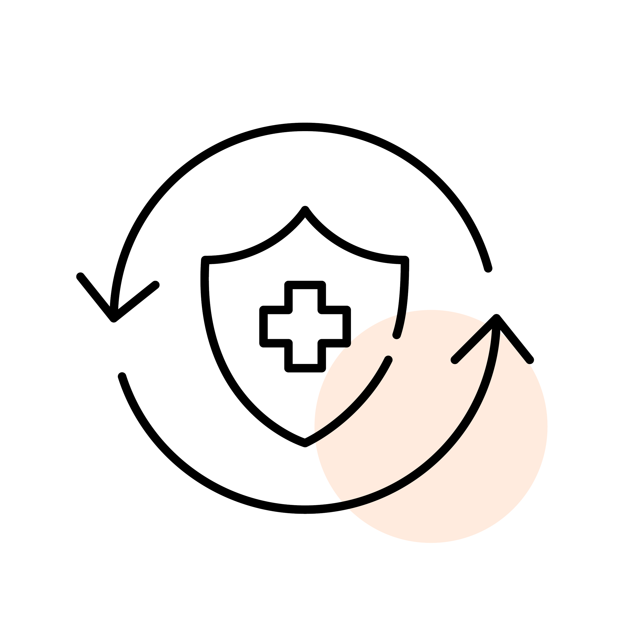 TCC Icons_11 - Immune.png