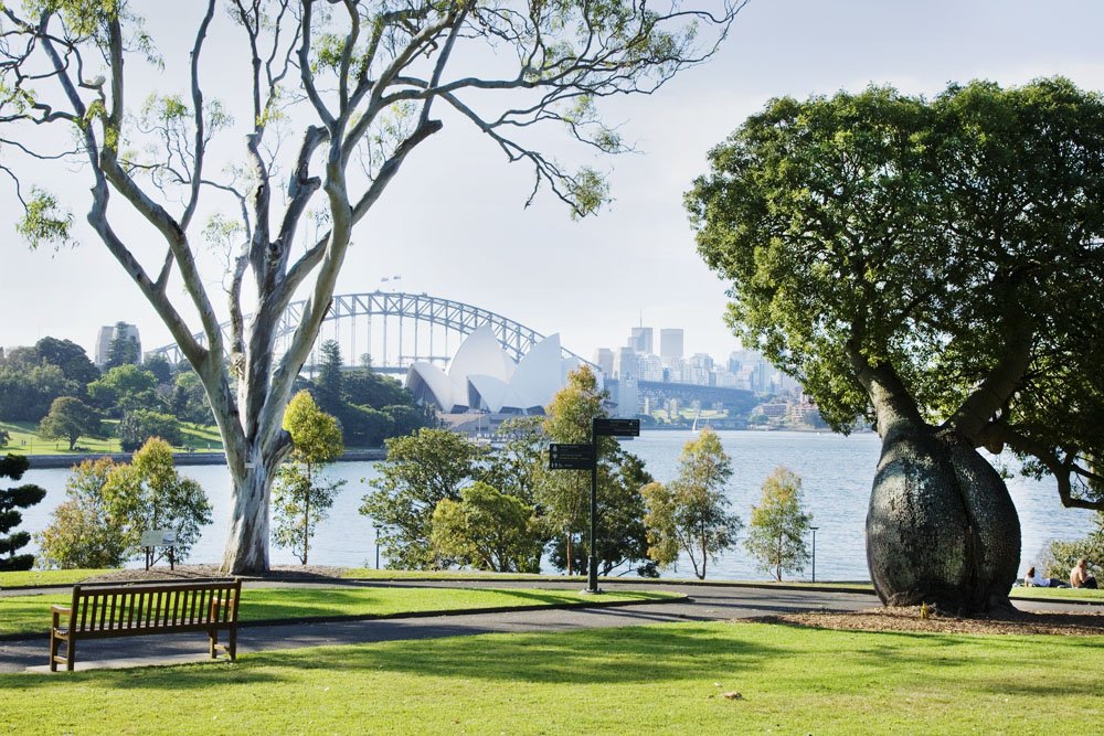 Botanic Gardens.jpg