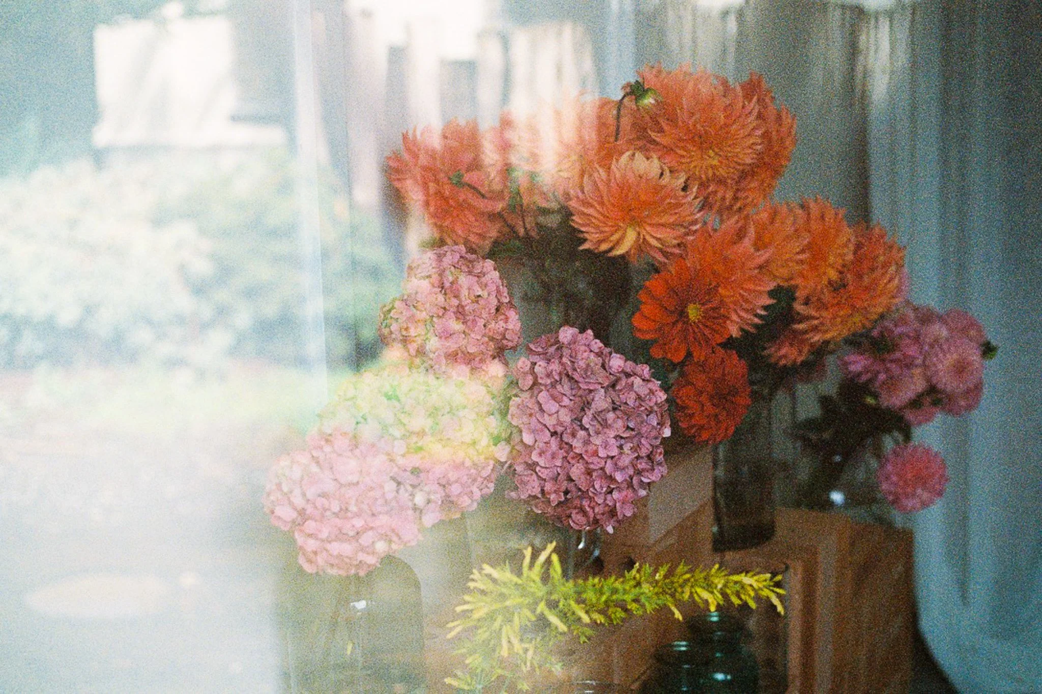 Sami Harper - Portraits-130.jpg