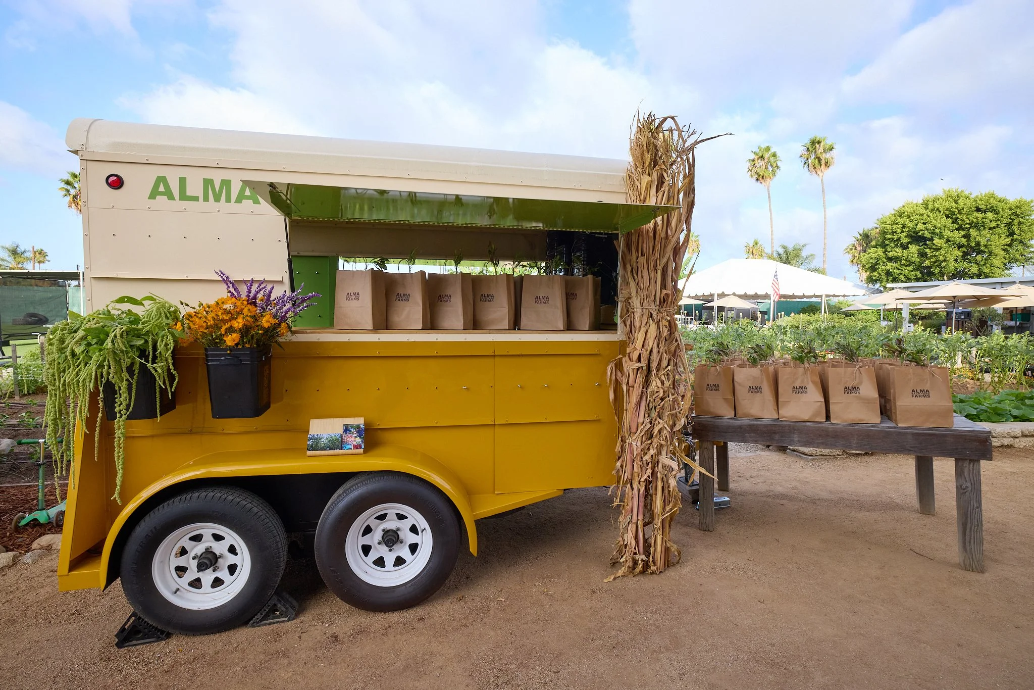 ALMA_BACKYARD_FARMS_LAUDATO_SI_CELEBRATION_86969.jpg