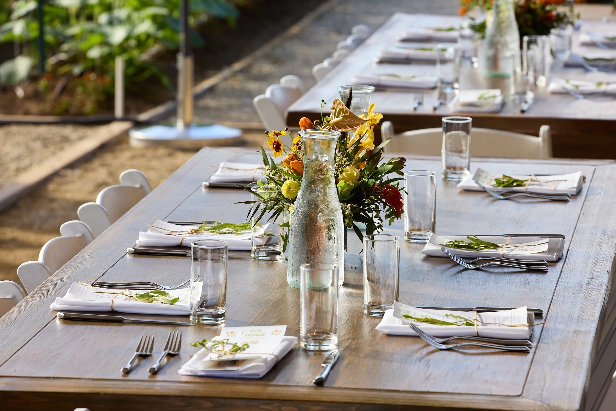 ALMA_BACKYARD_FARMS_LAUDATO_SI_CELEBRATION_87108.jpg
