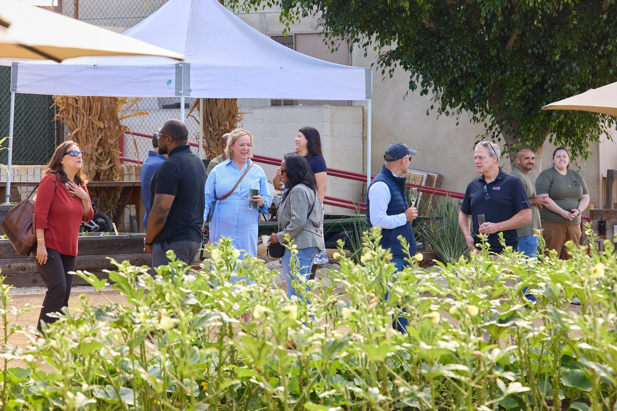 ALMA_BACKYARD_FARMS_LAUDATO_SI_CELEBRATION_87235.jpg