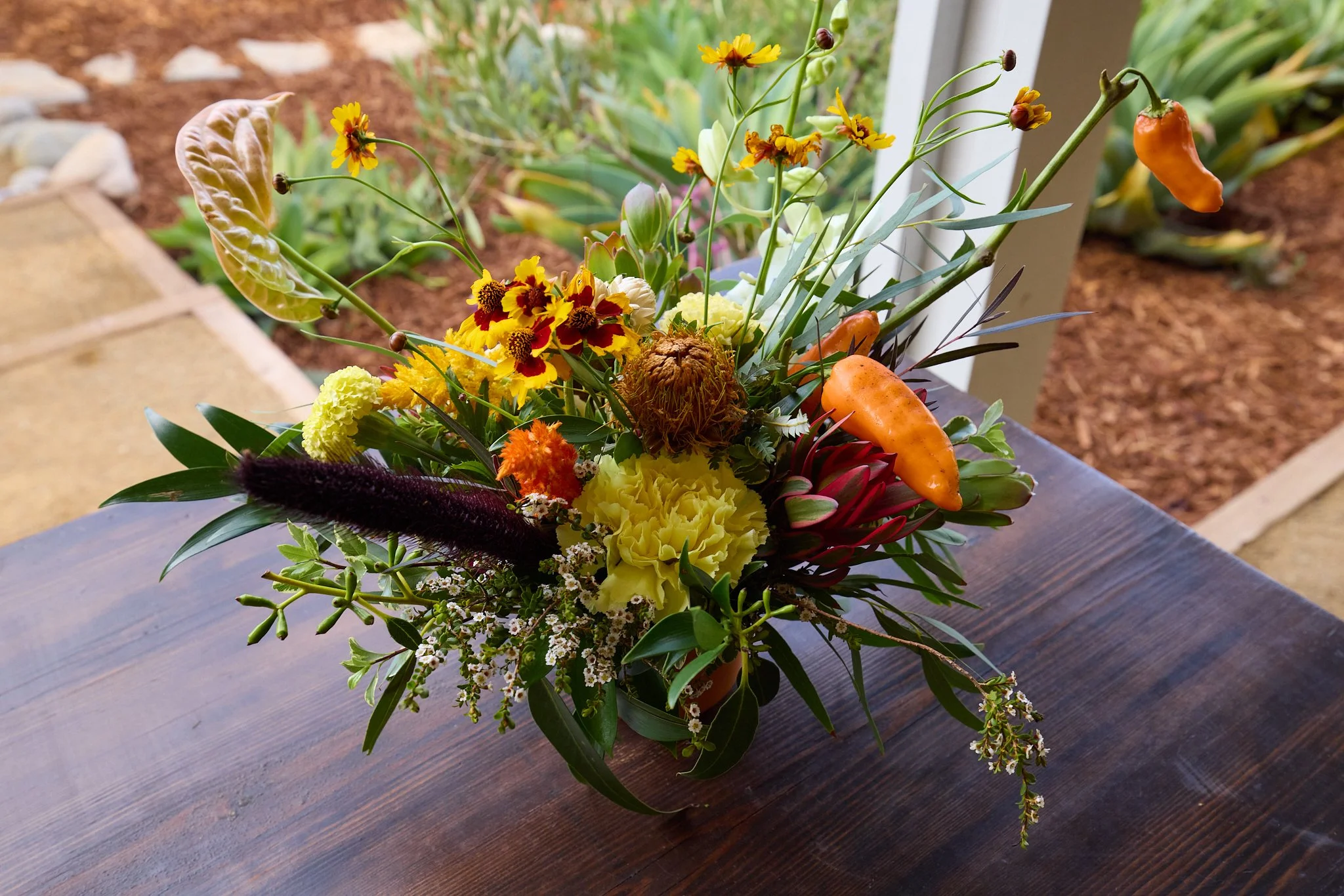 ALMA_BACKYARD_FARMS_LAUDATO_SI_CELEBRATION_86987.jpg